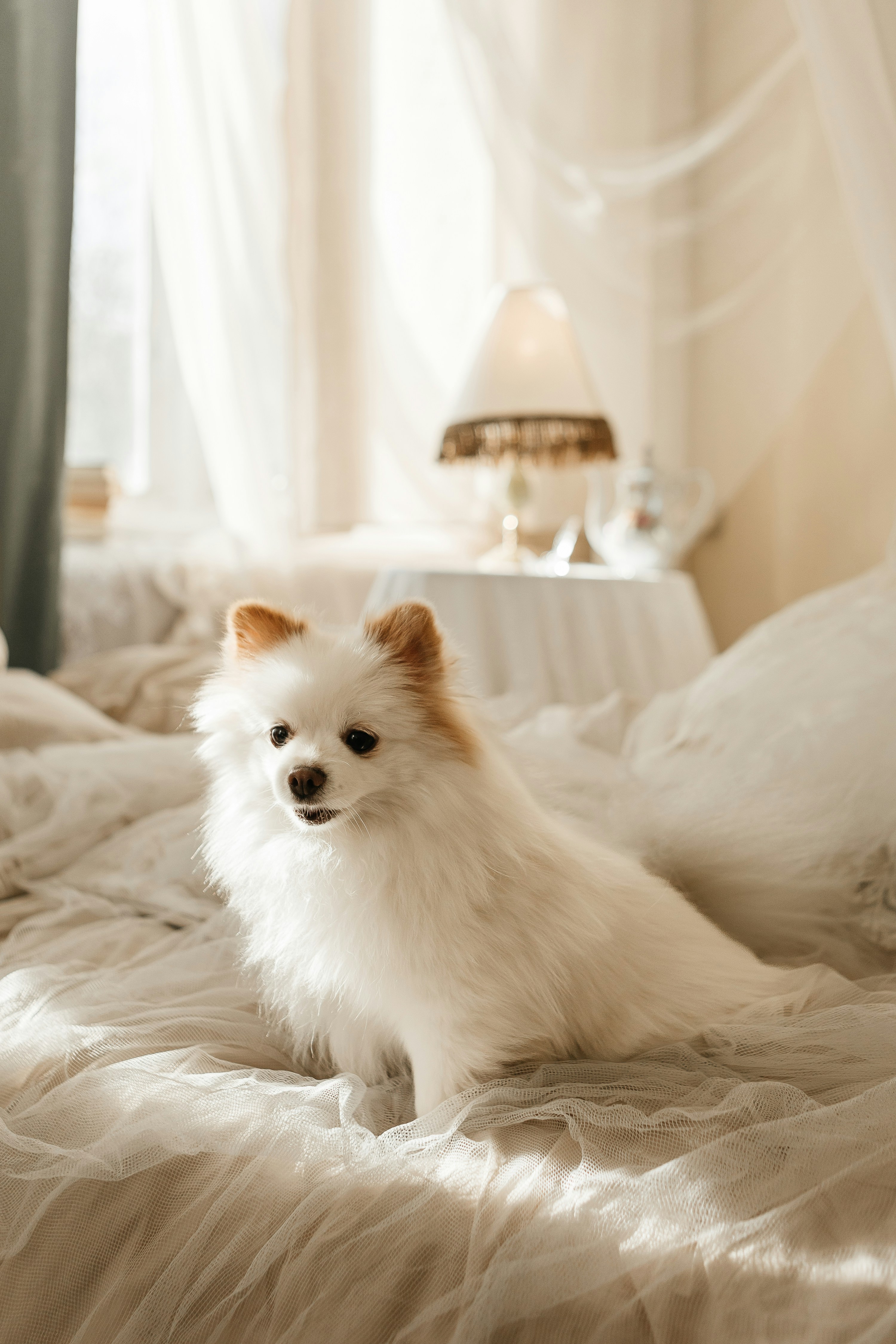 Photo by olga_kononenko