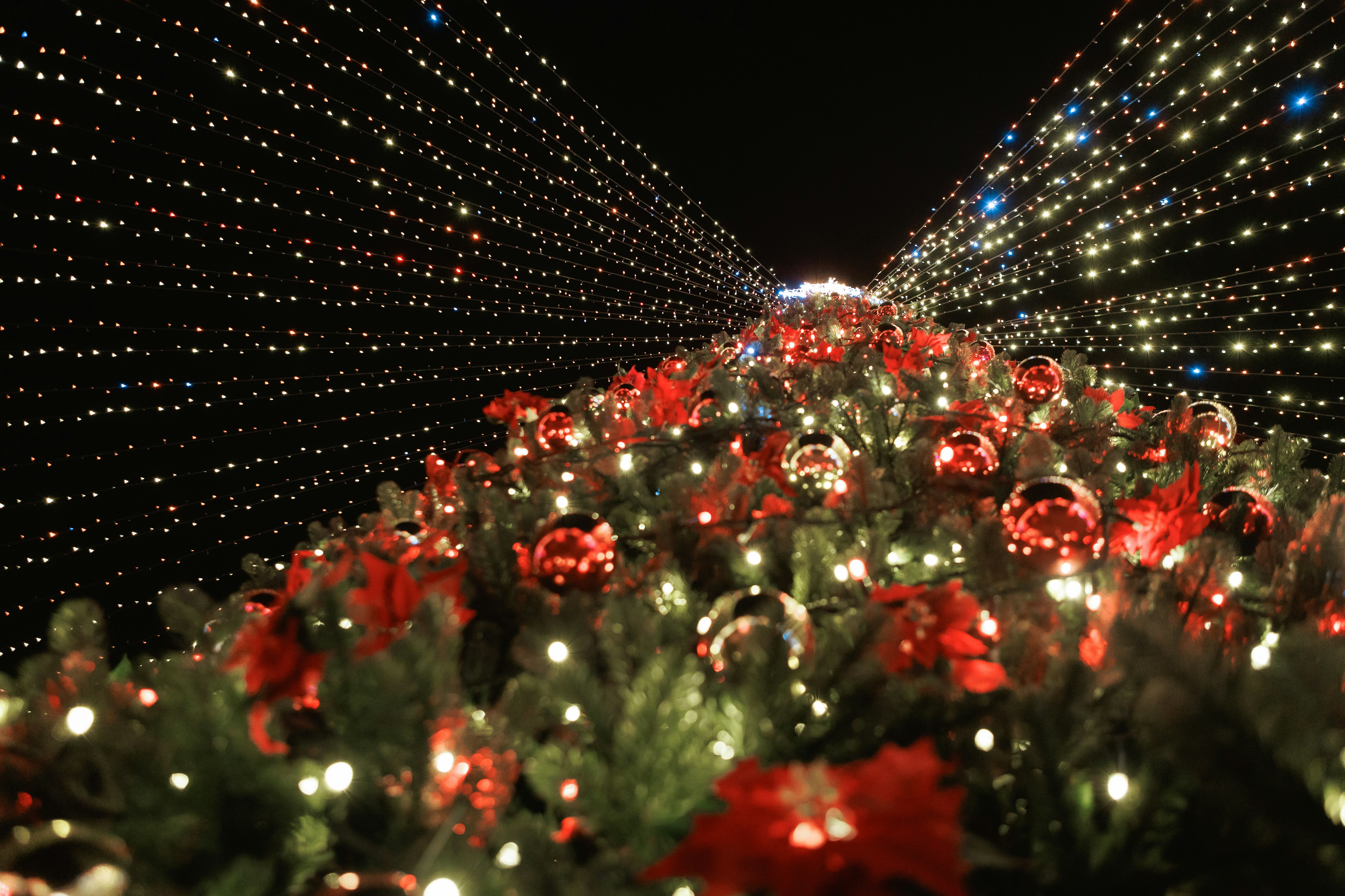 밤에는 반짝이는 조명으로 밝혀진 크리스마스 트리. 사진 – Unsplash의 무료 크리스마스 이미지, image size:3000x2000