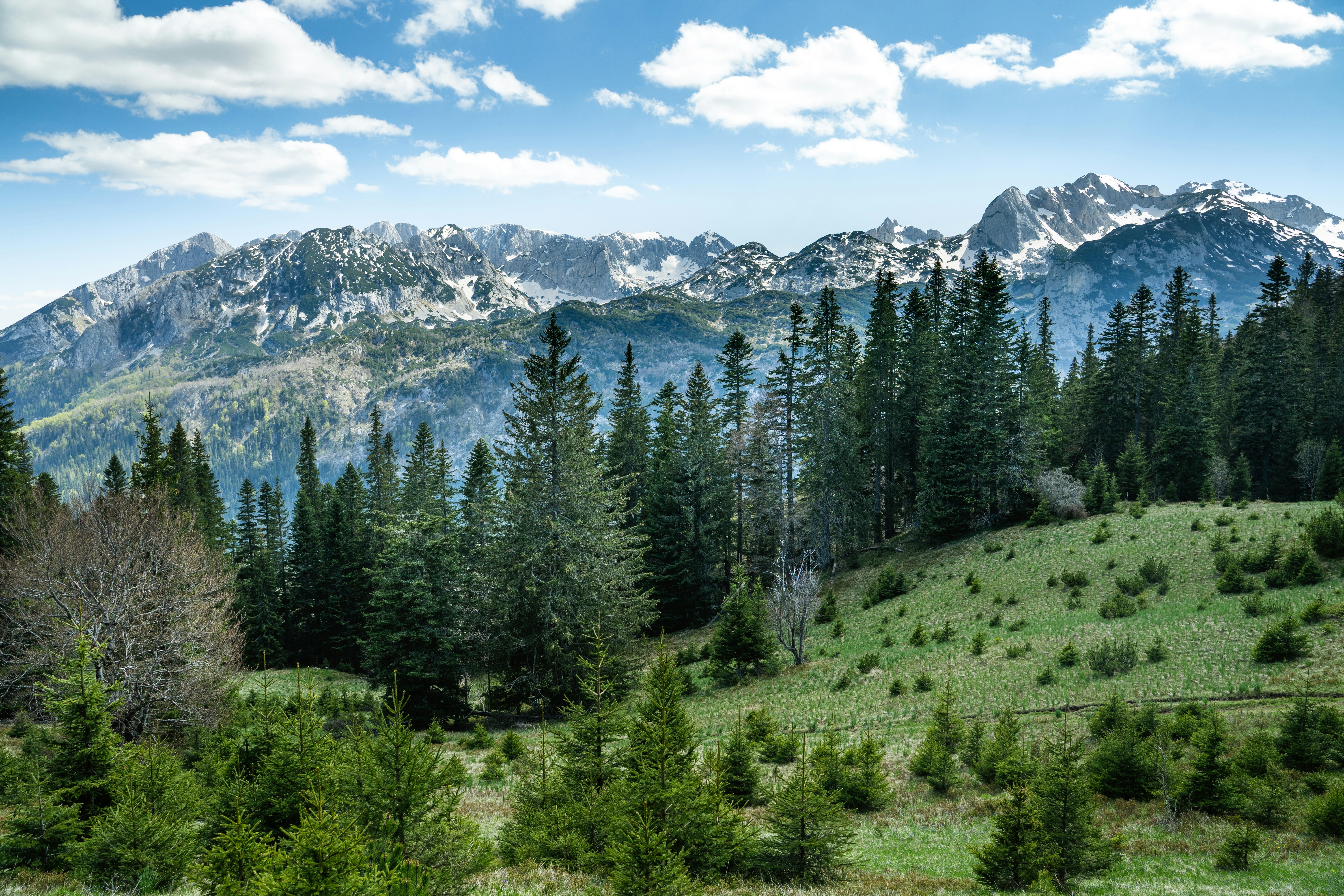 Photo by kishorevaddadi