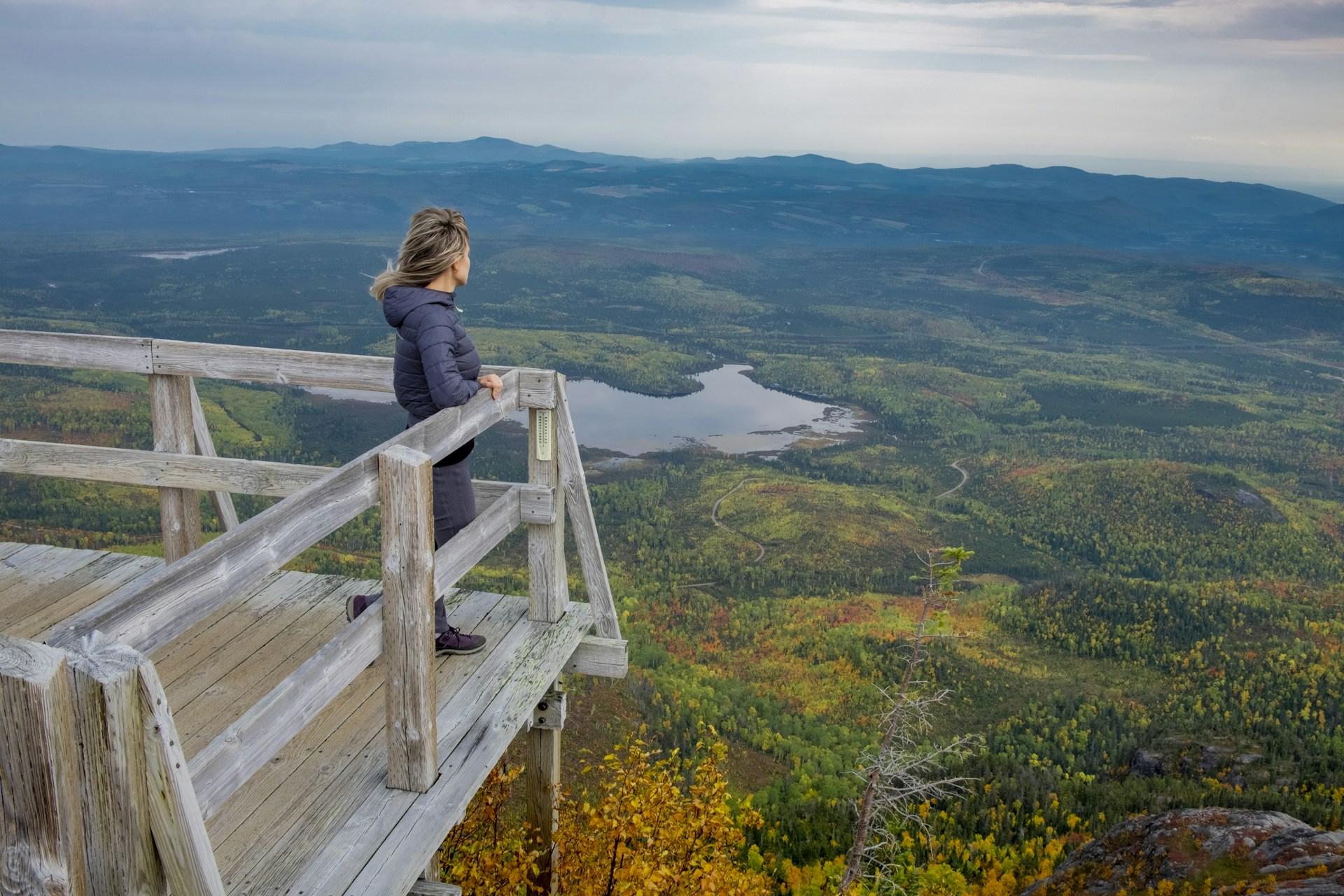 Woman gazes at scenic landscape from a wooden overlook.