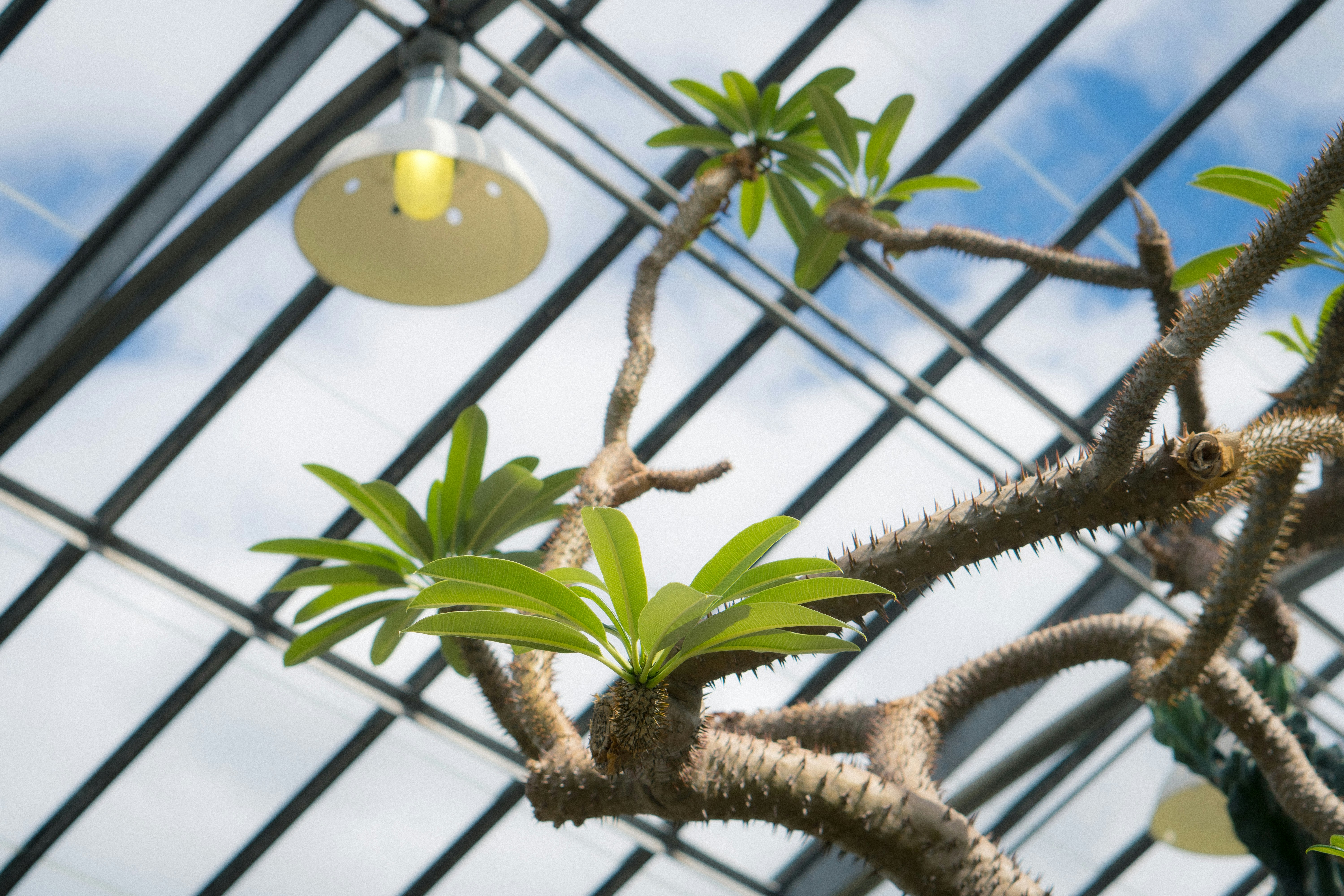 Photo by tellophotography