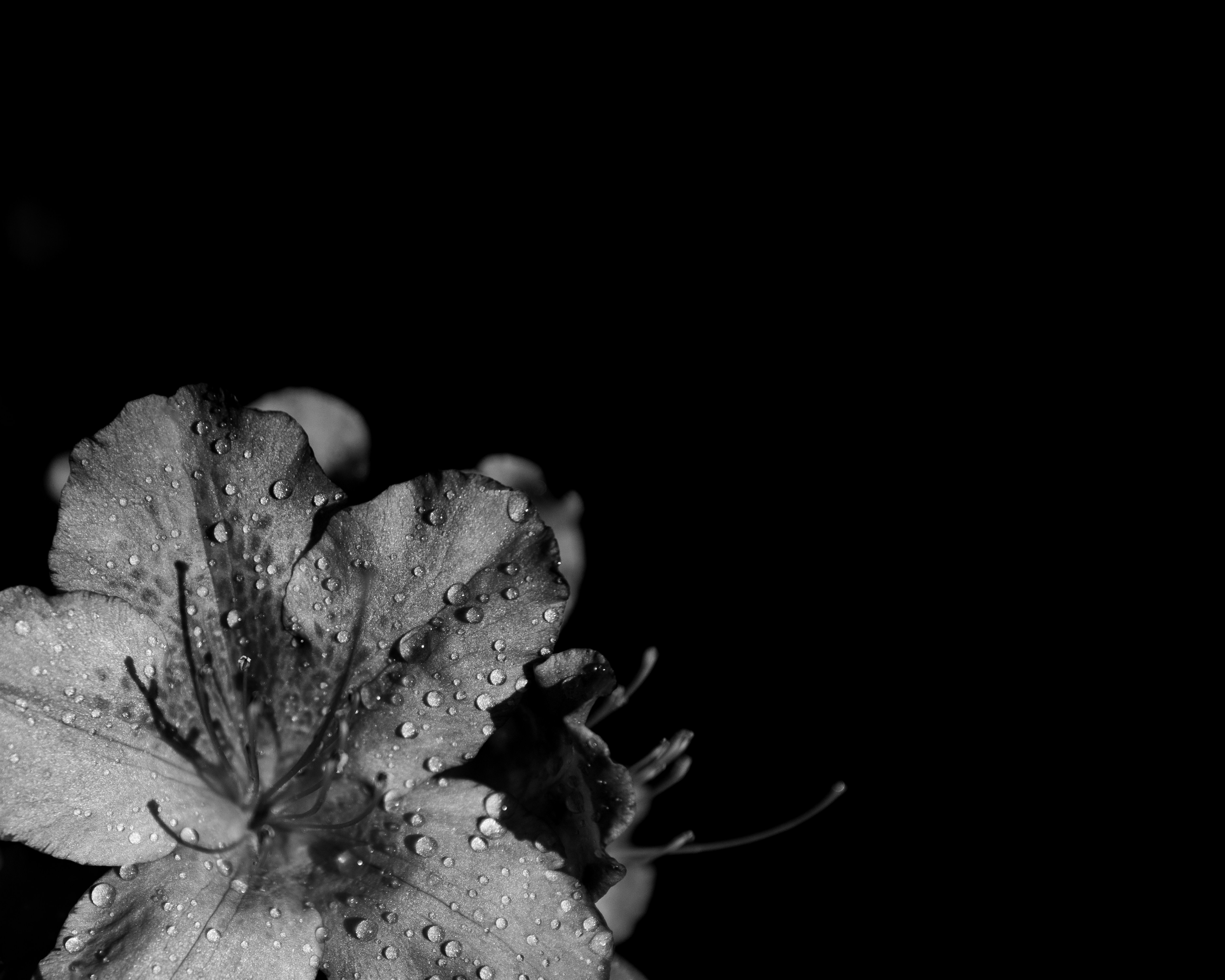 Photo by macysherrill09