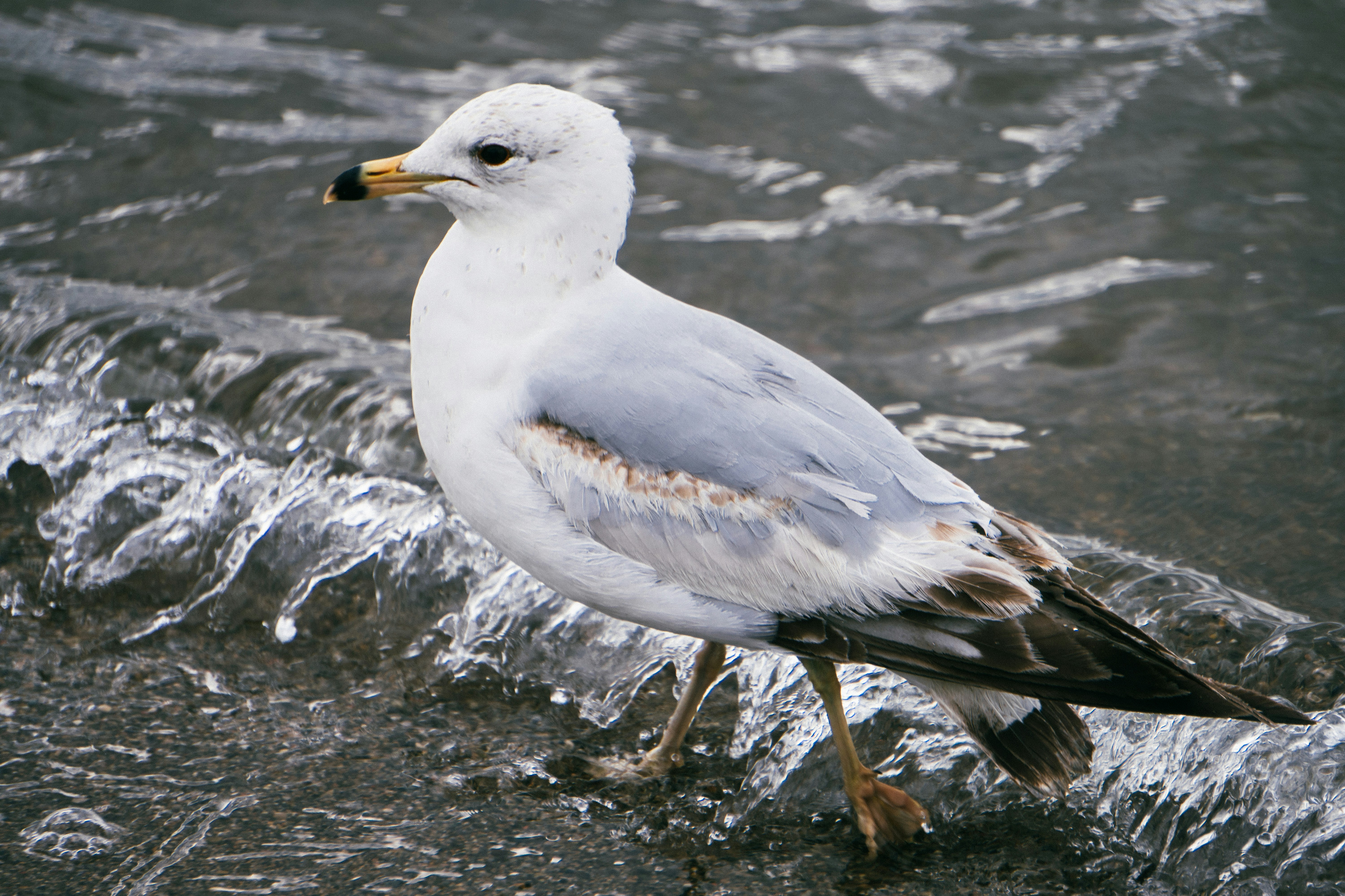 Photo by tellophotography