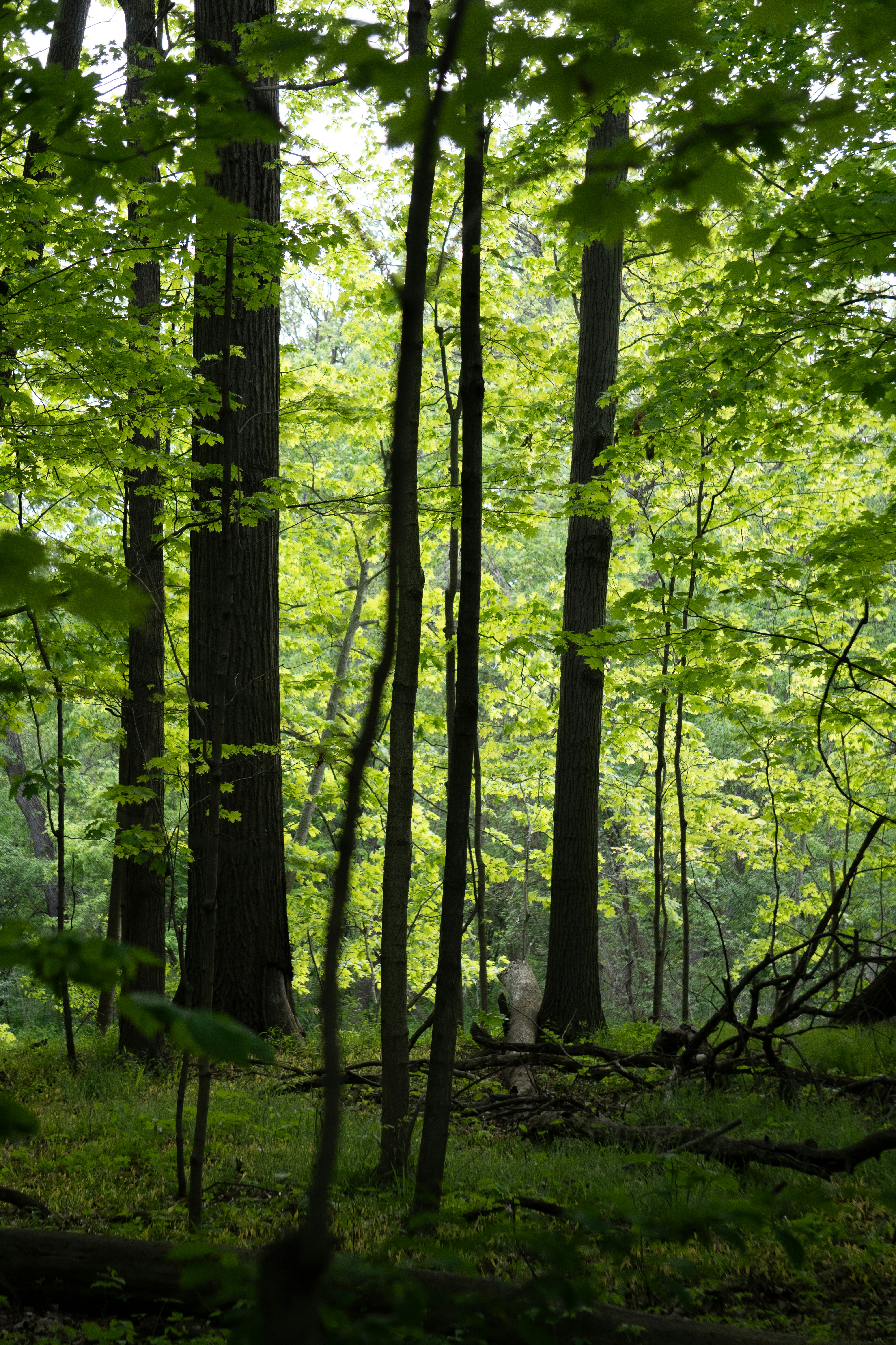 Photo by tellophotography