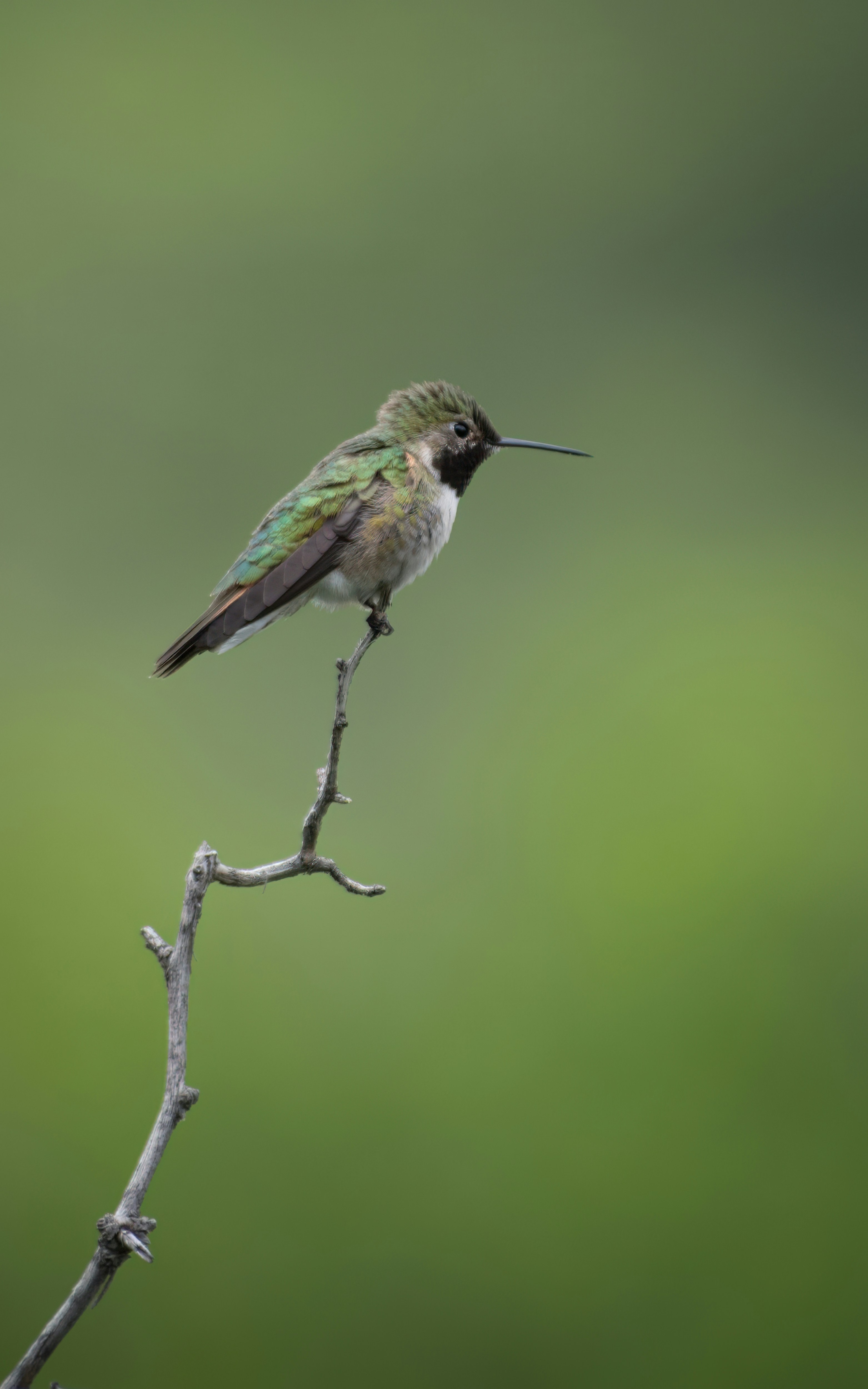 Photo by rob_bird_photography