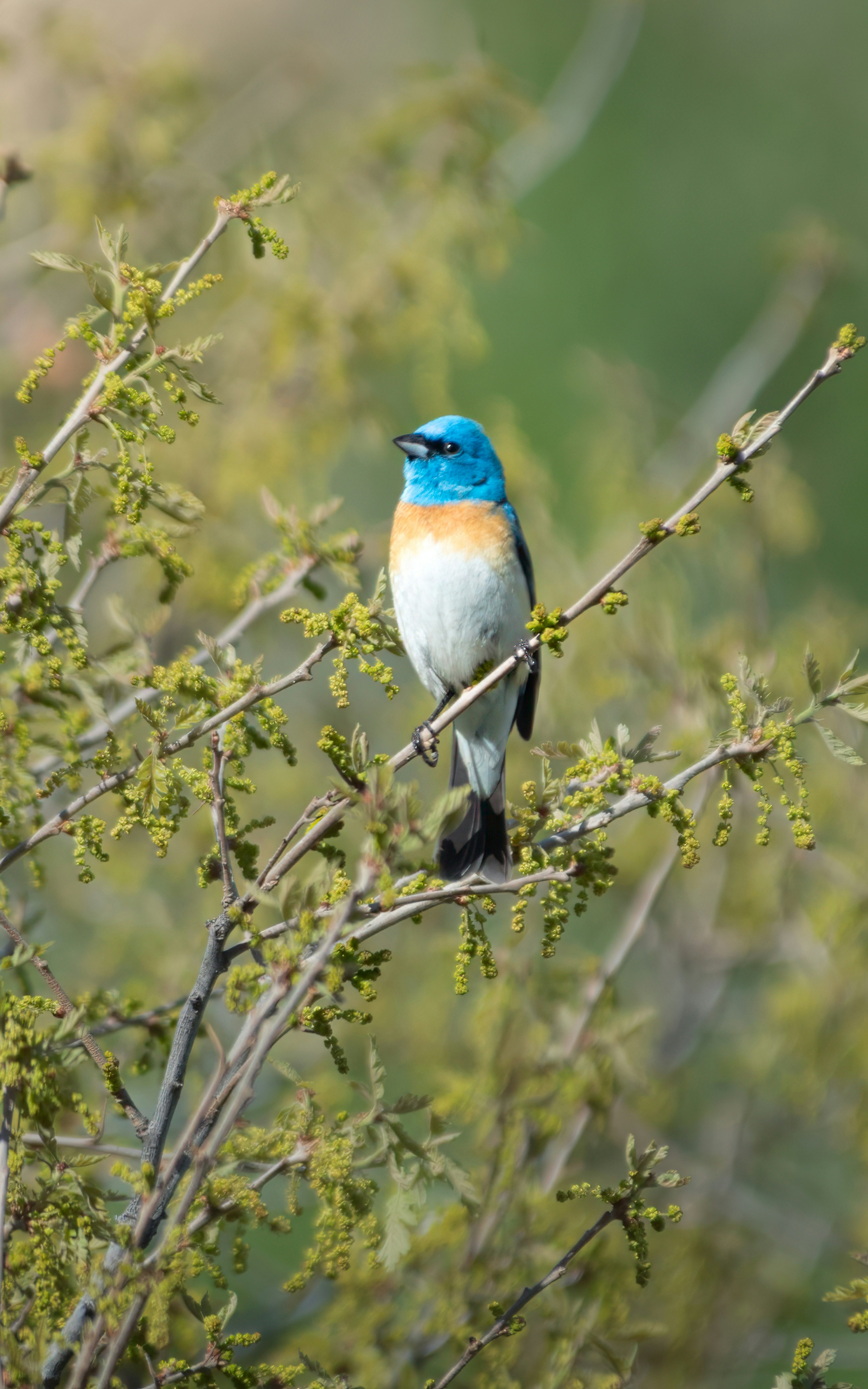 Photo by rob_bird_photography