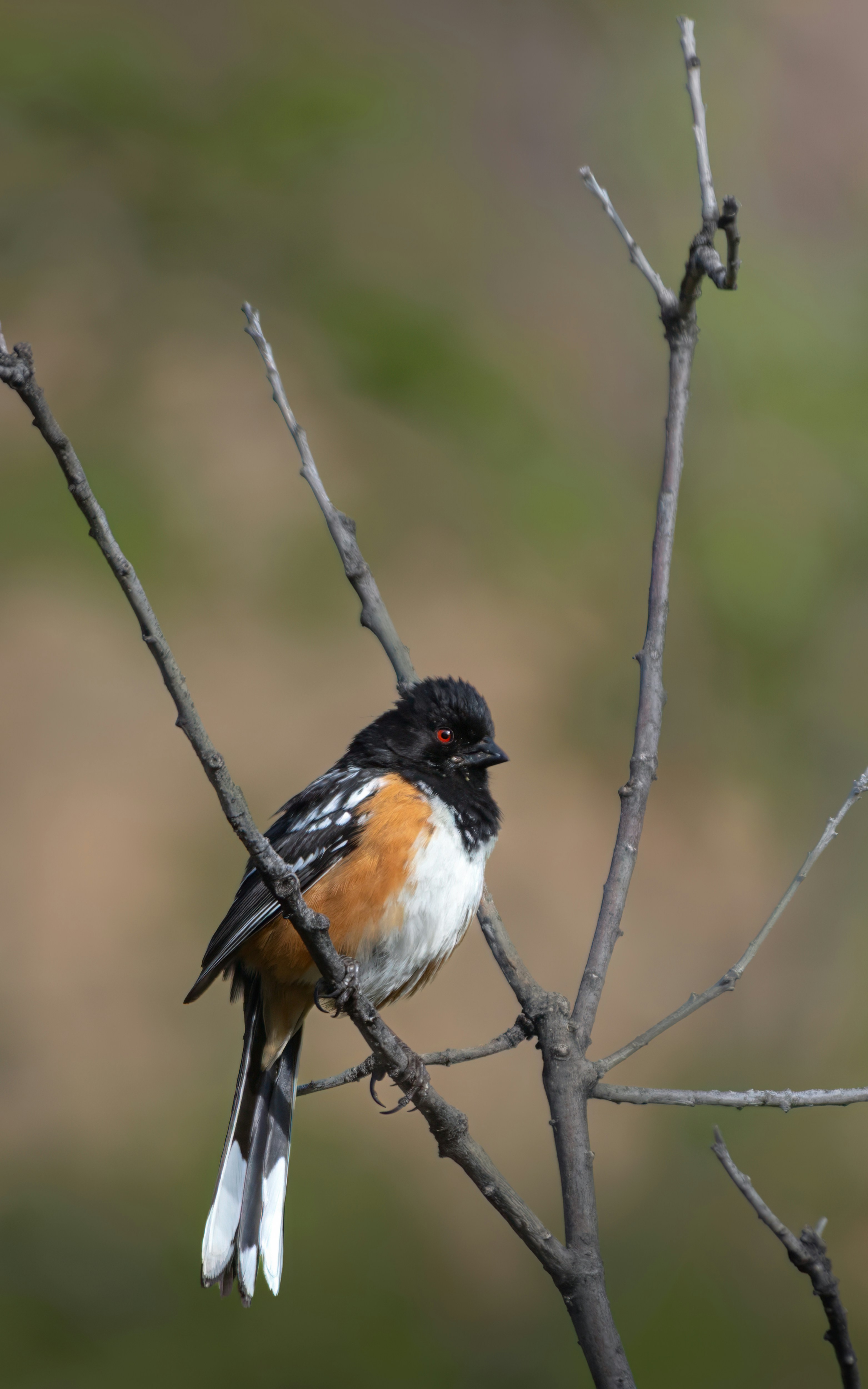 Photo by rob_bird_photography