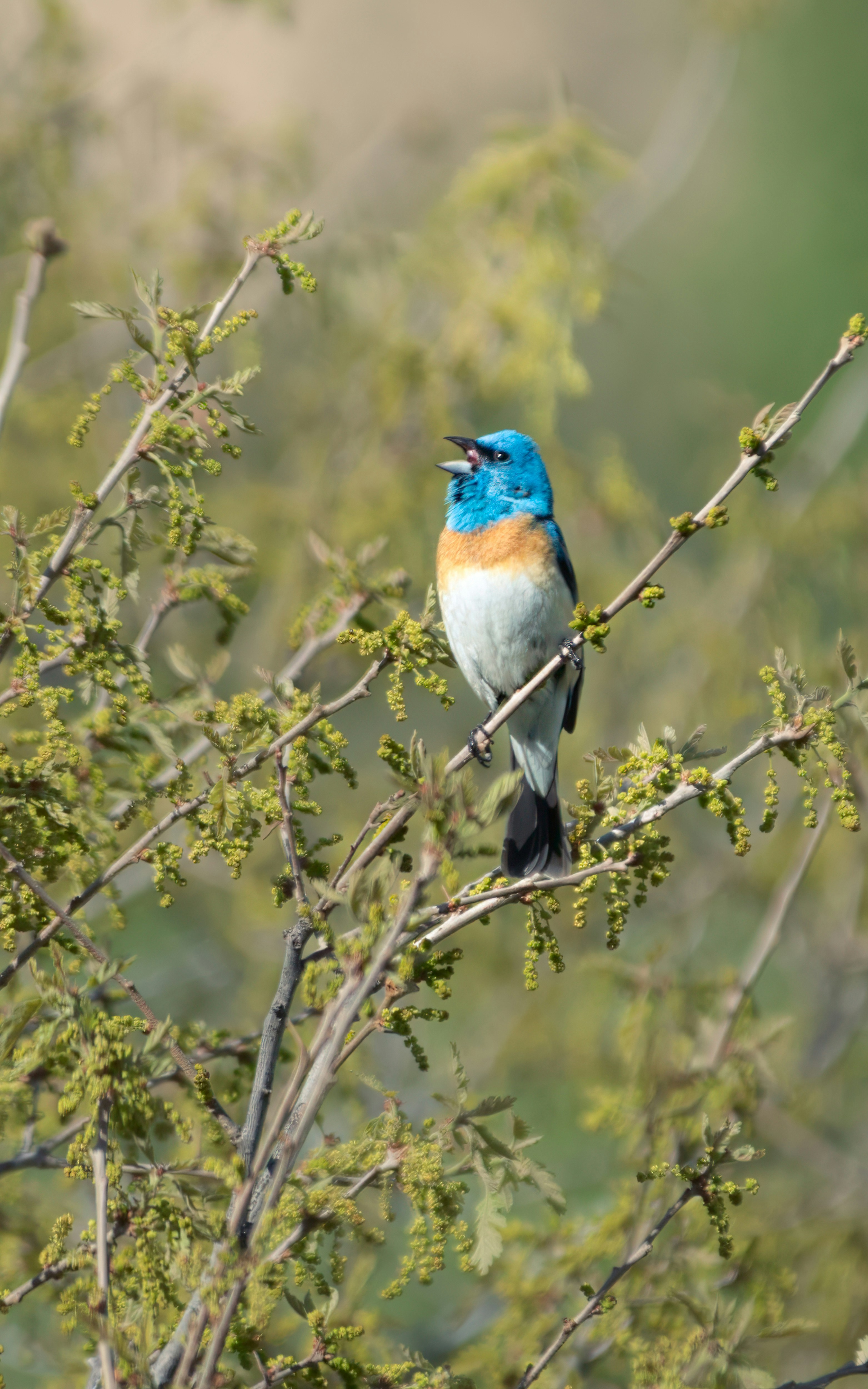 Photo by rob_bird_photography