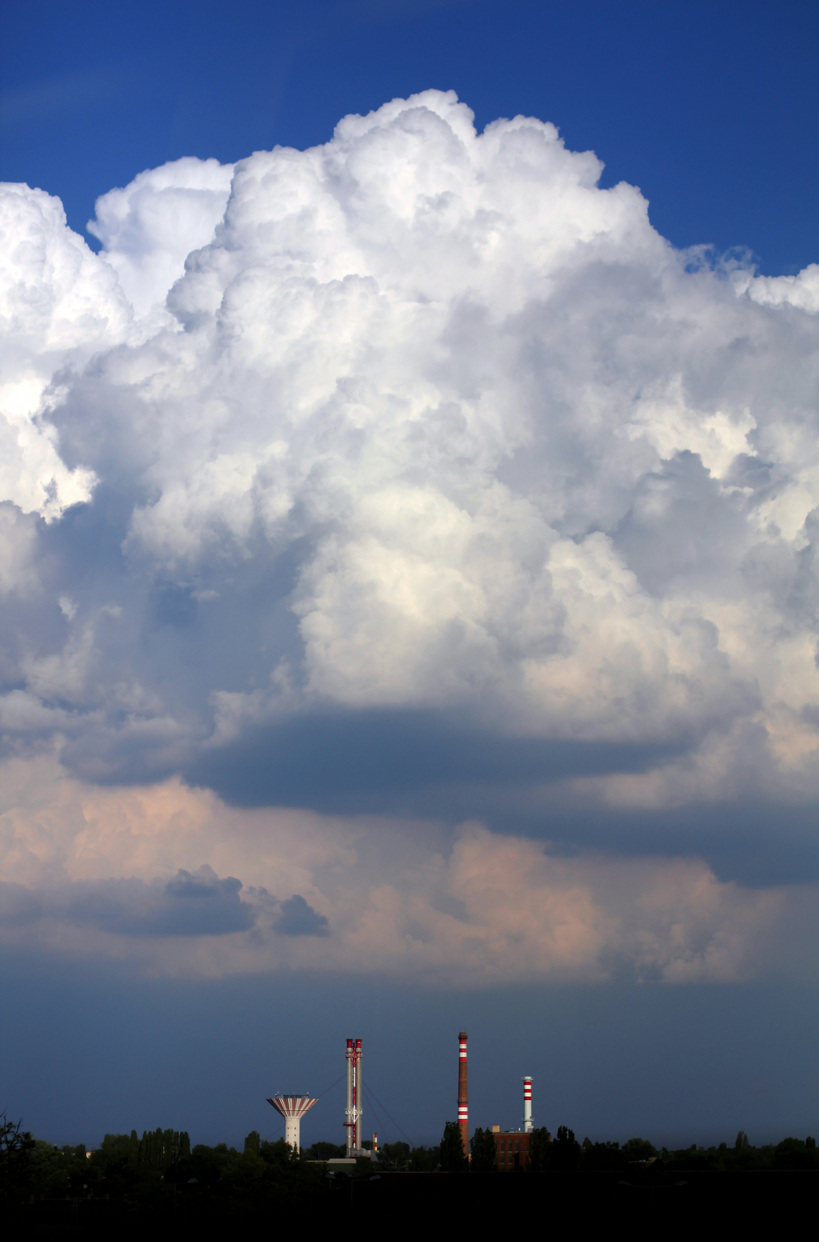 Photo by venczakjanos