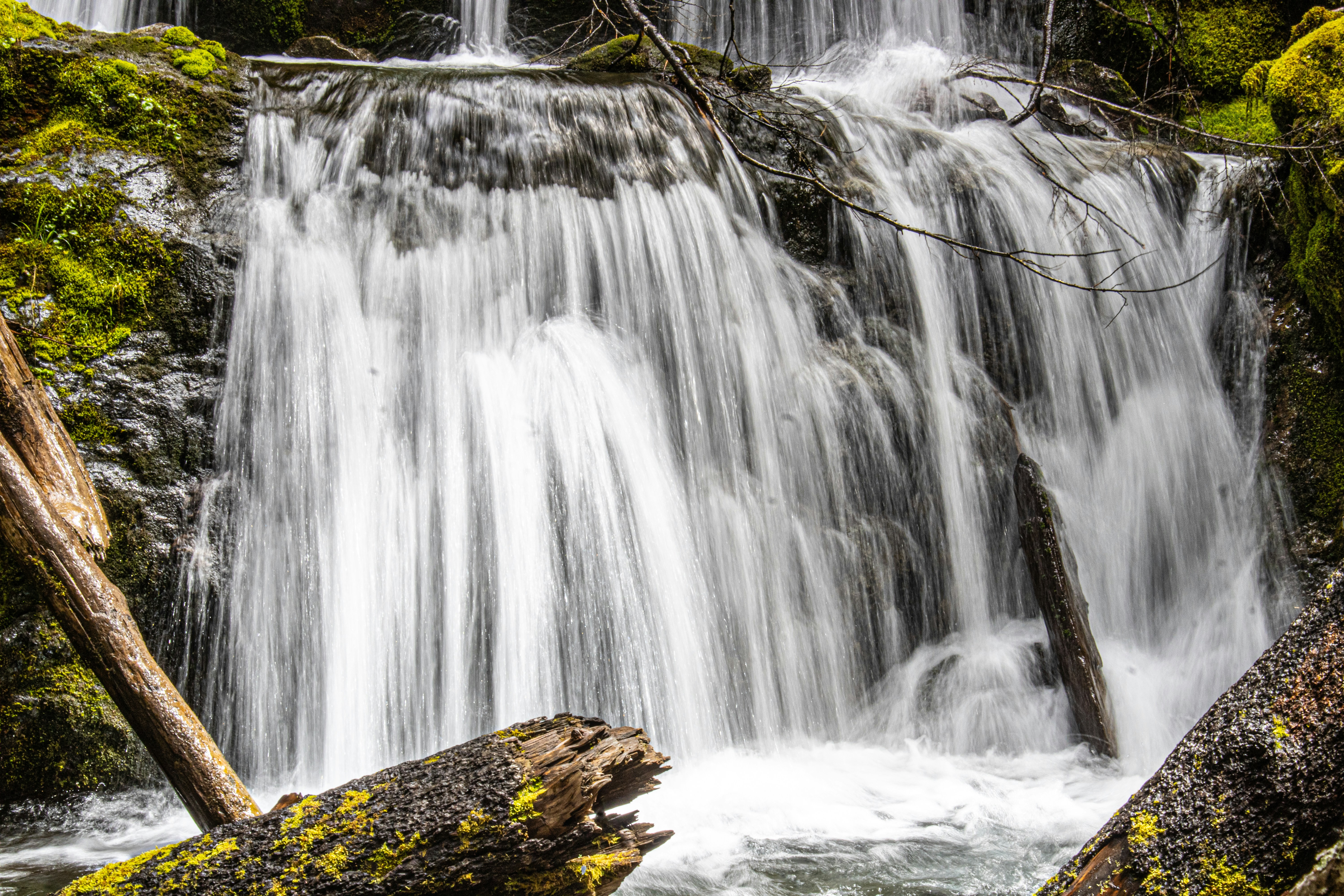 Photo by prphotography262