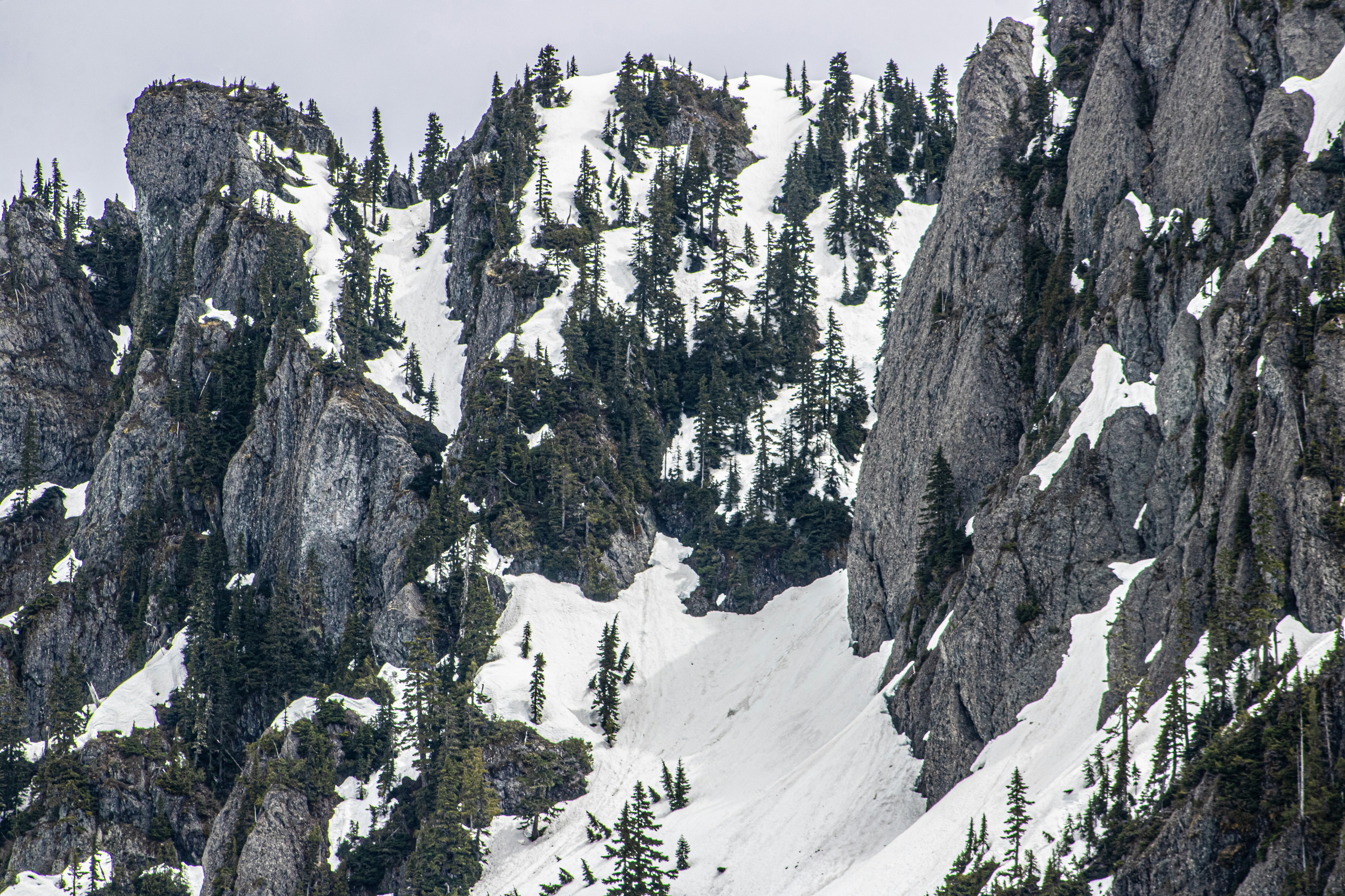 Photo by prphotography262