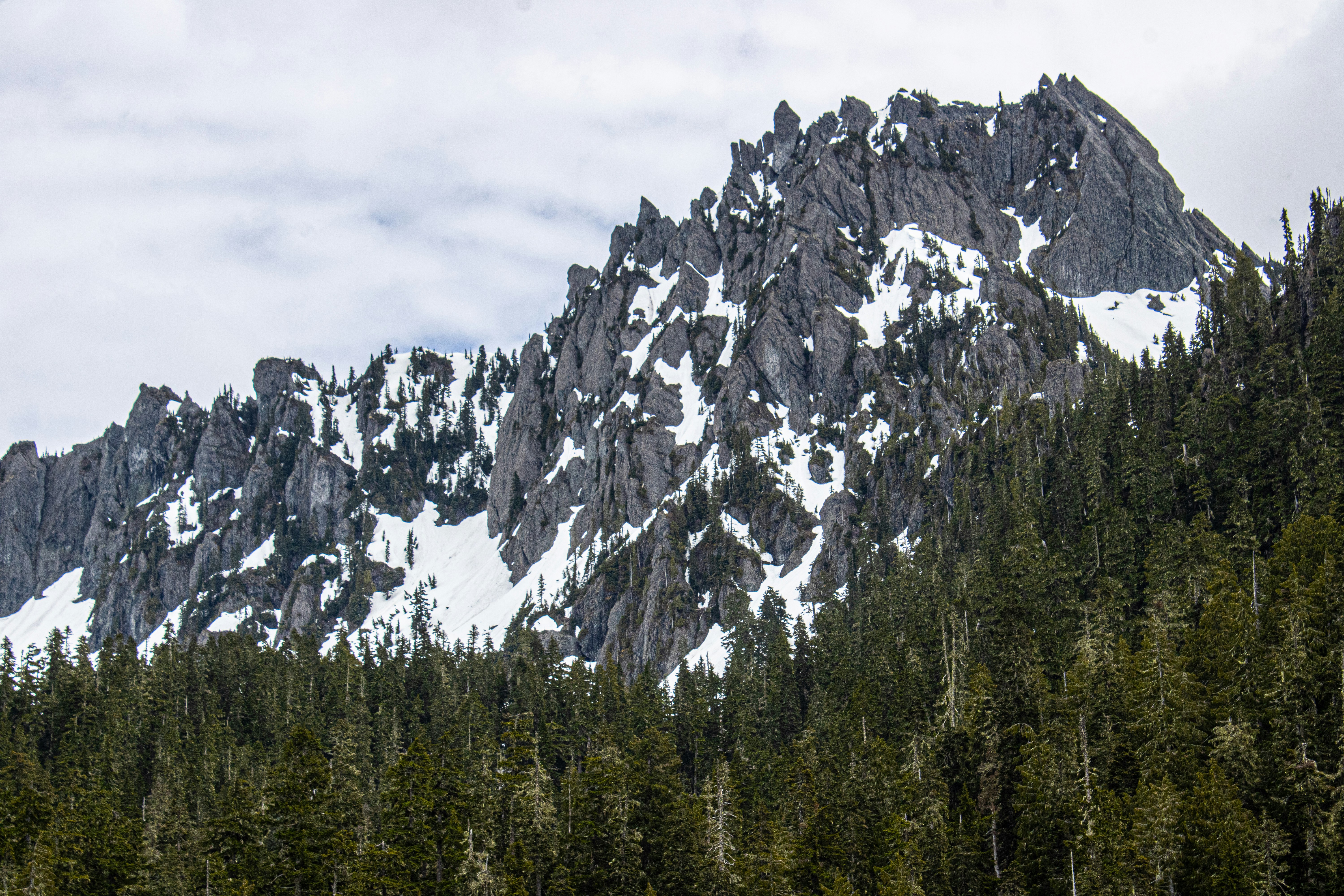 Schneebedeckte Berge erheben sich über einem üppigen Wald.