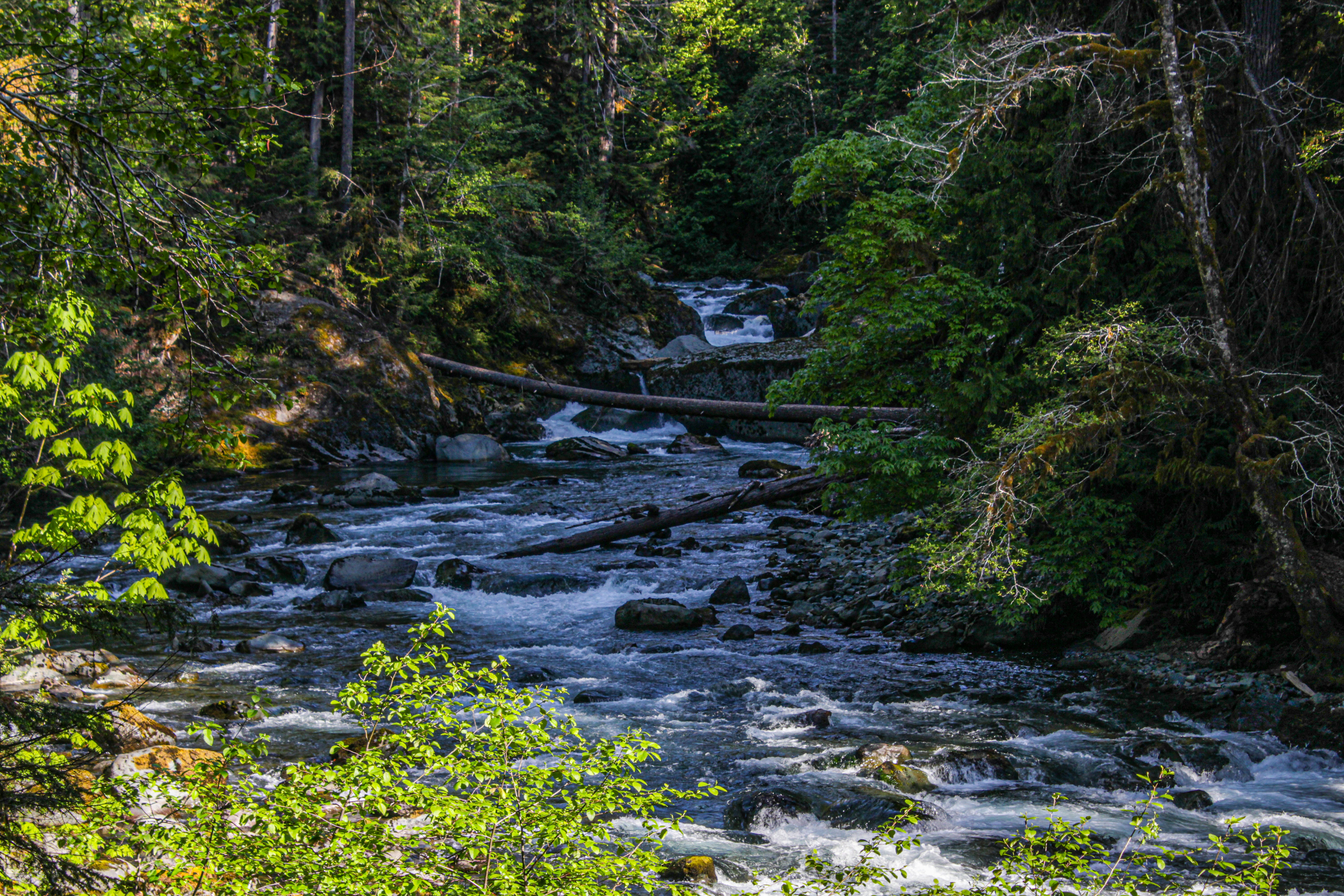 Photo by prphotography262