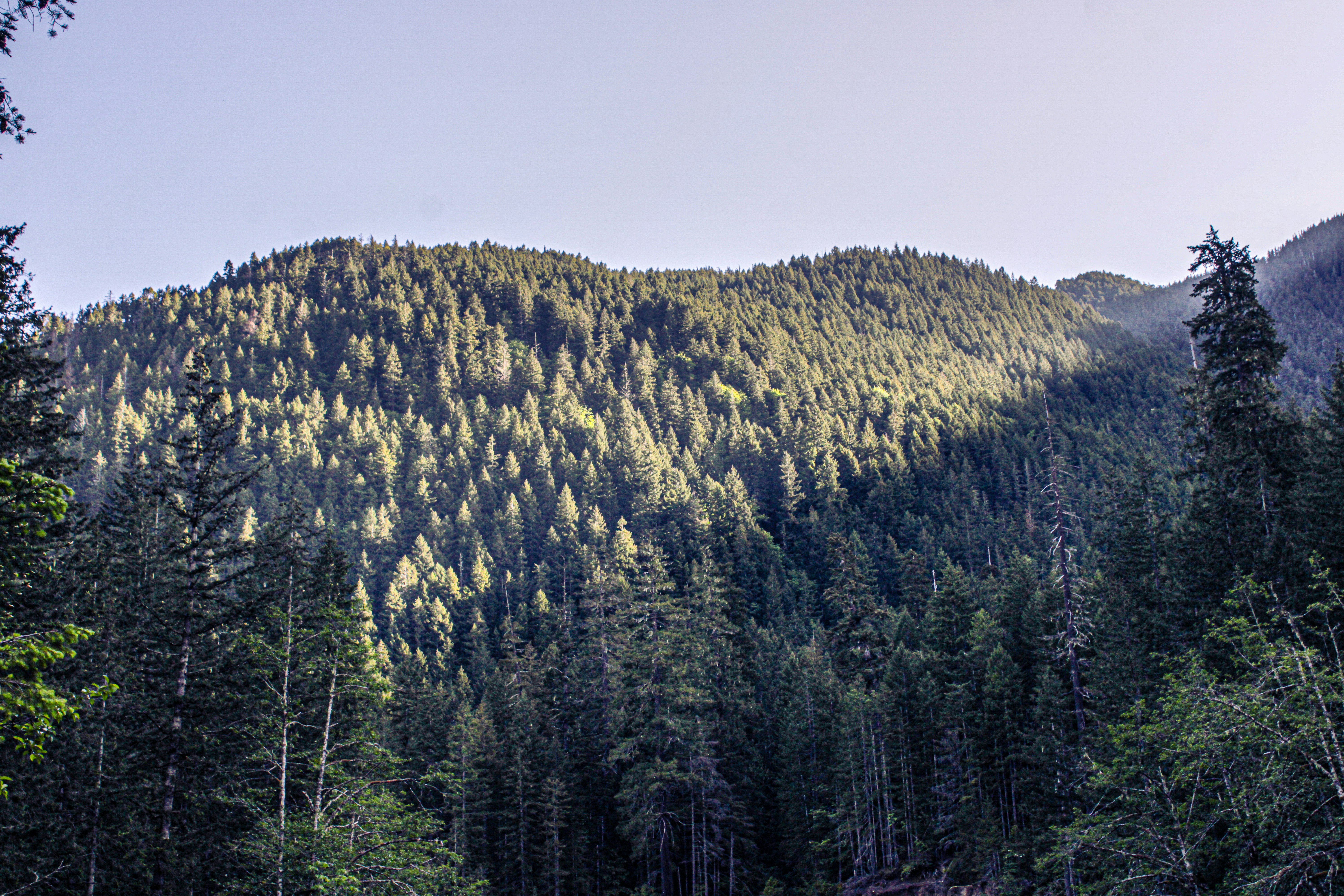 Photo by prphotography262