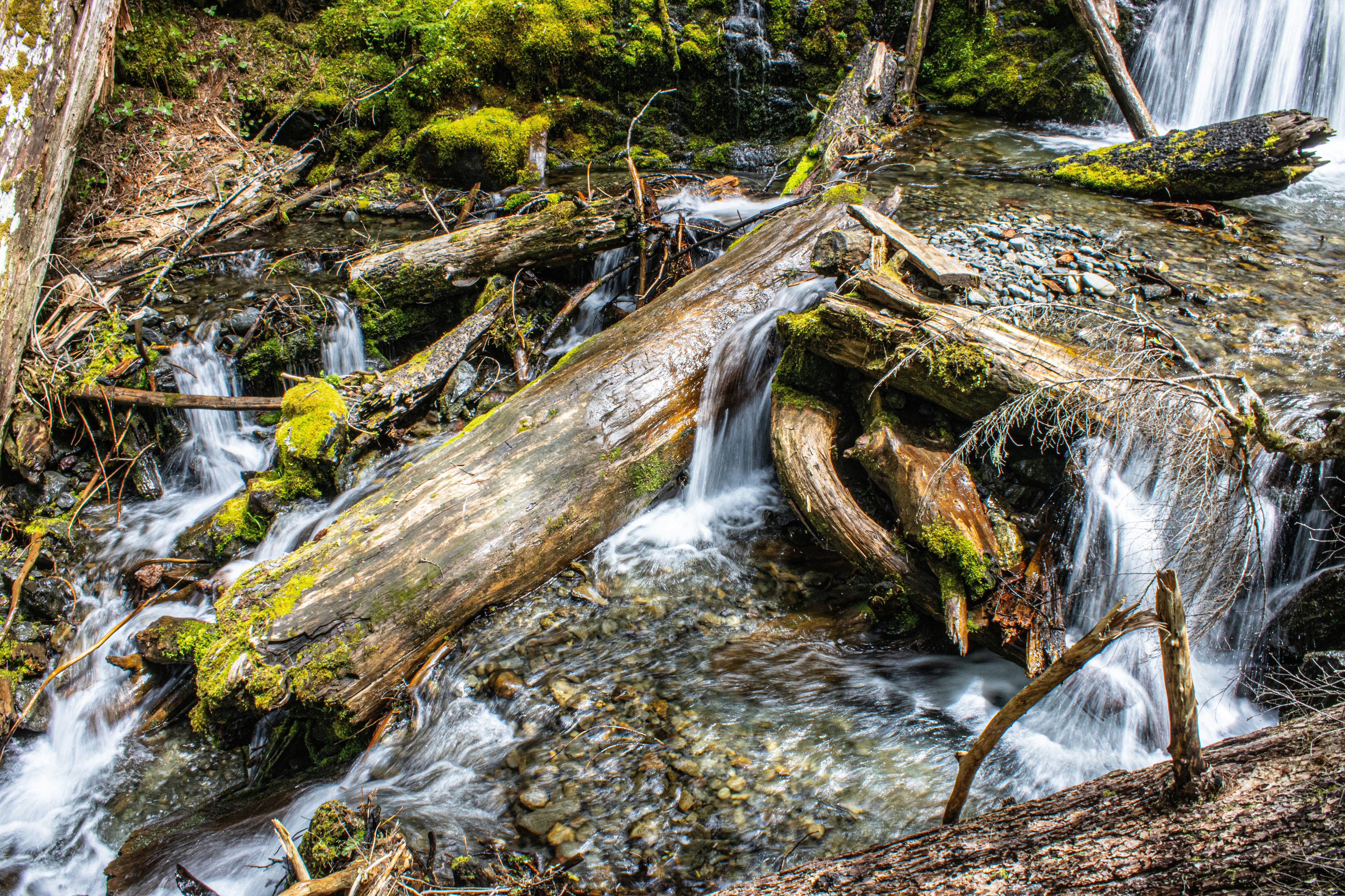 Photo by prphotography262