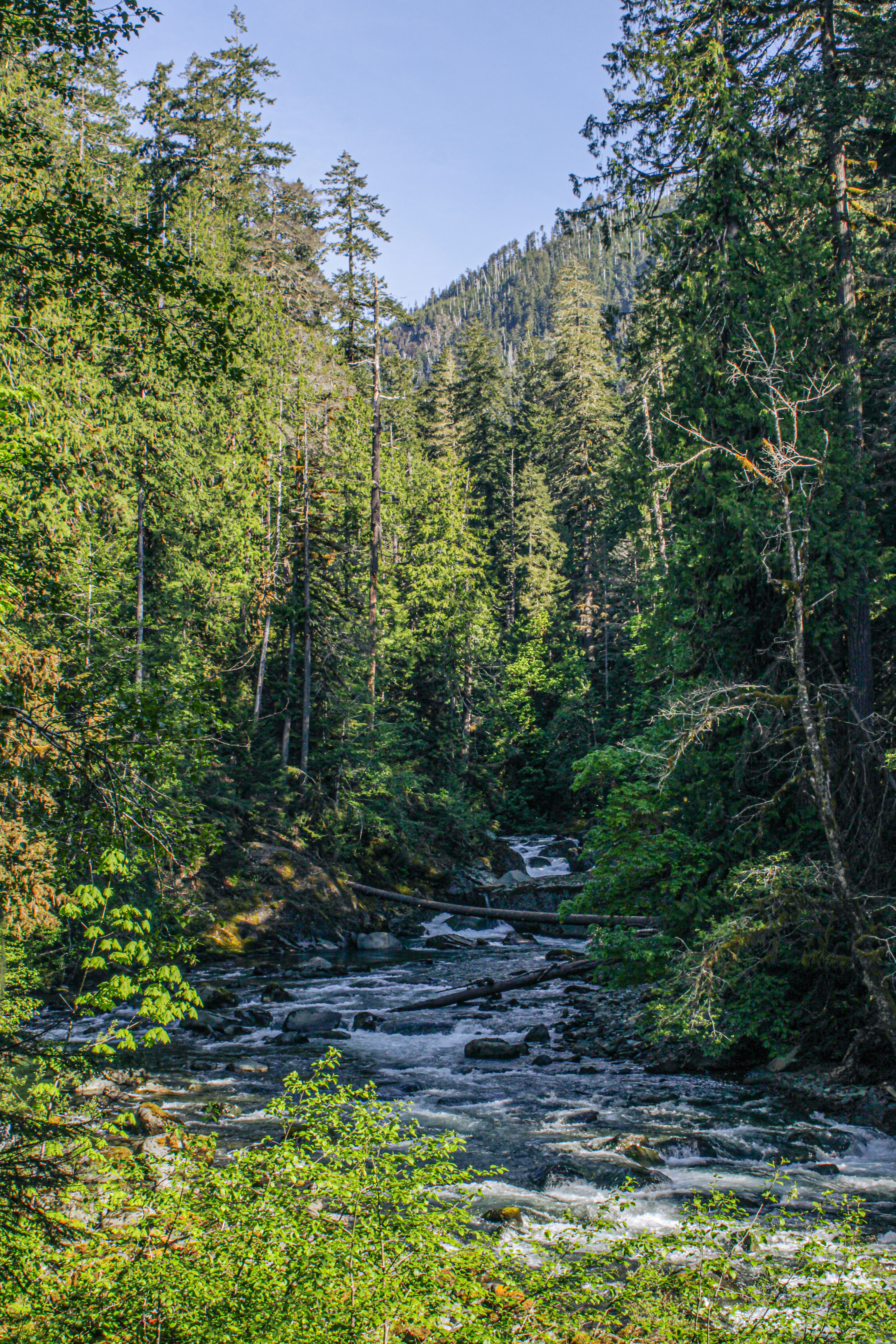 Photo by prphotography262