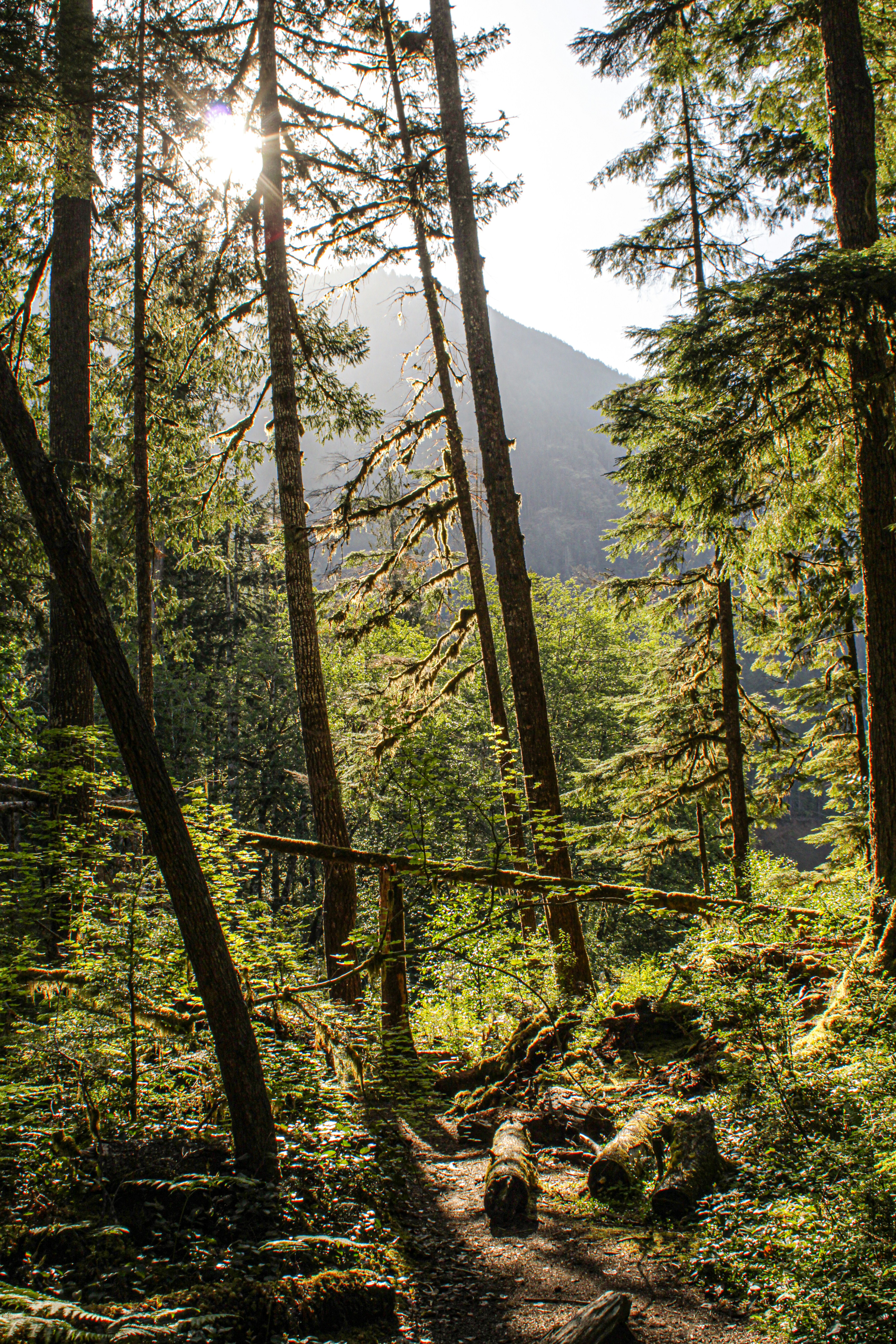 Photo by prphotography262