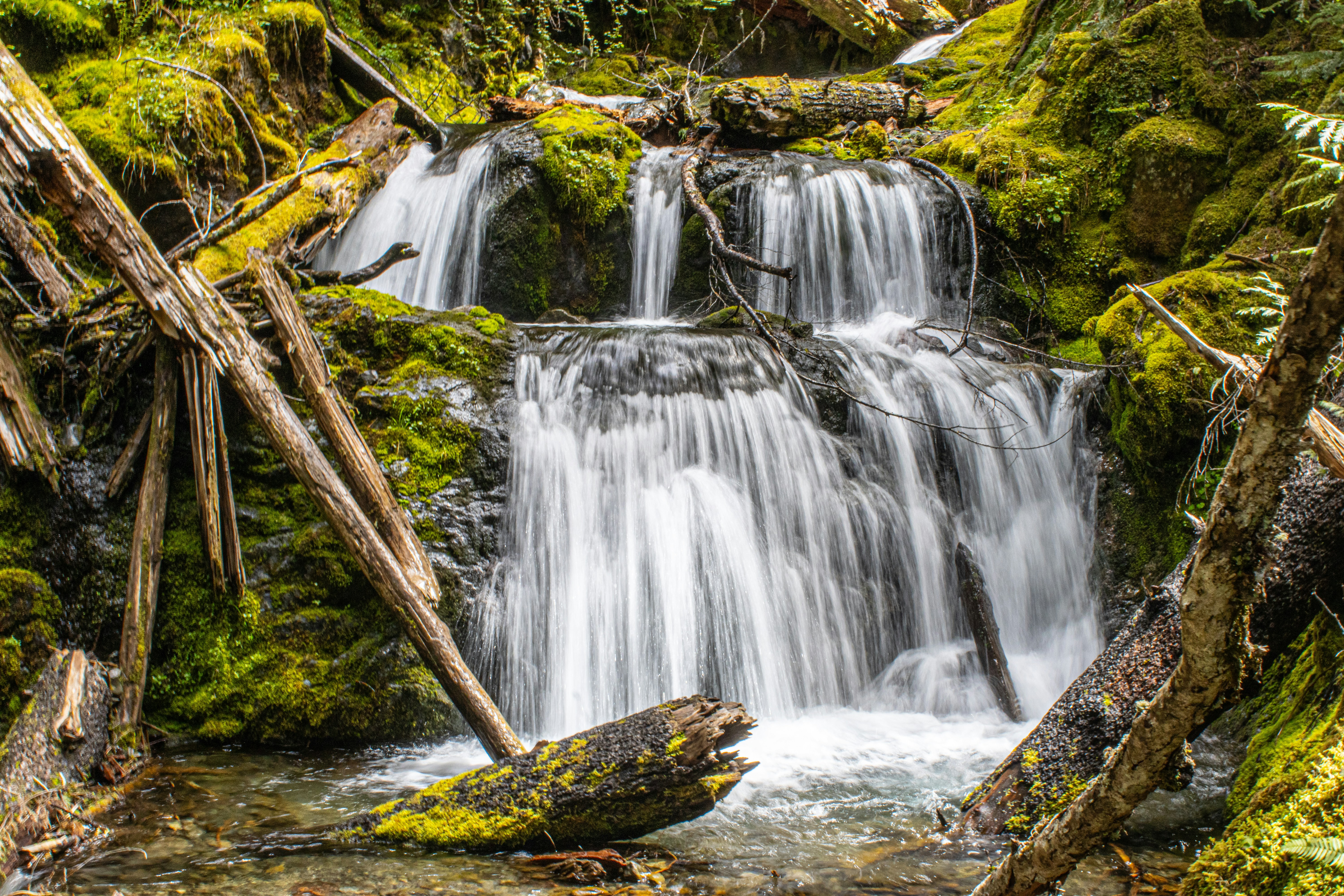 Photo by prphotography262