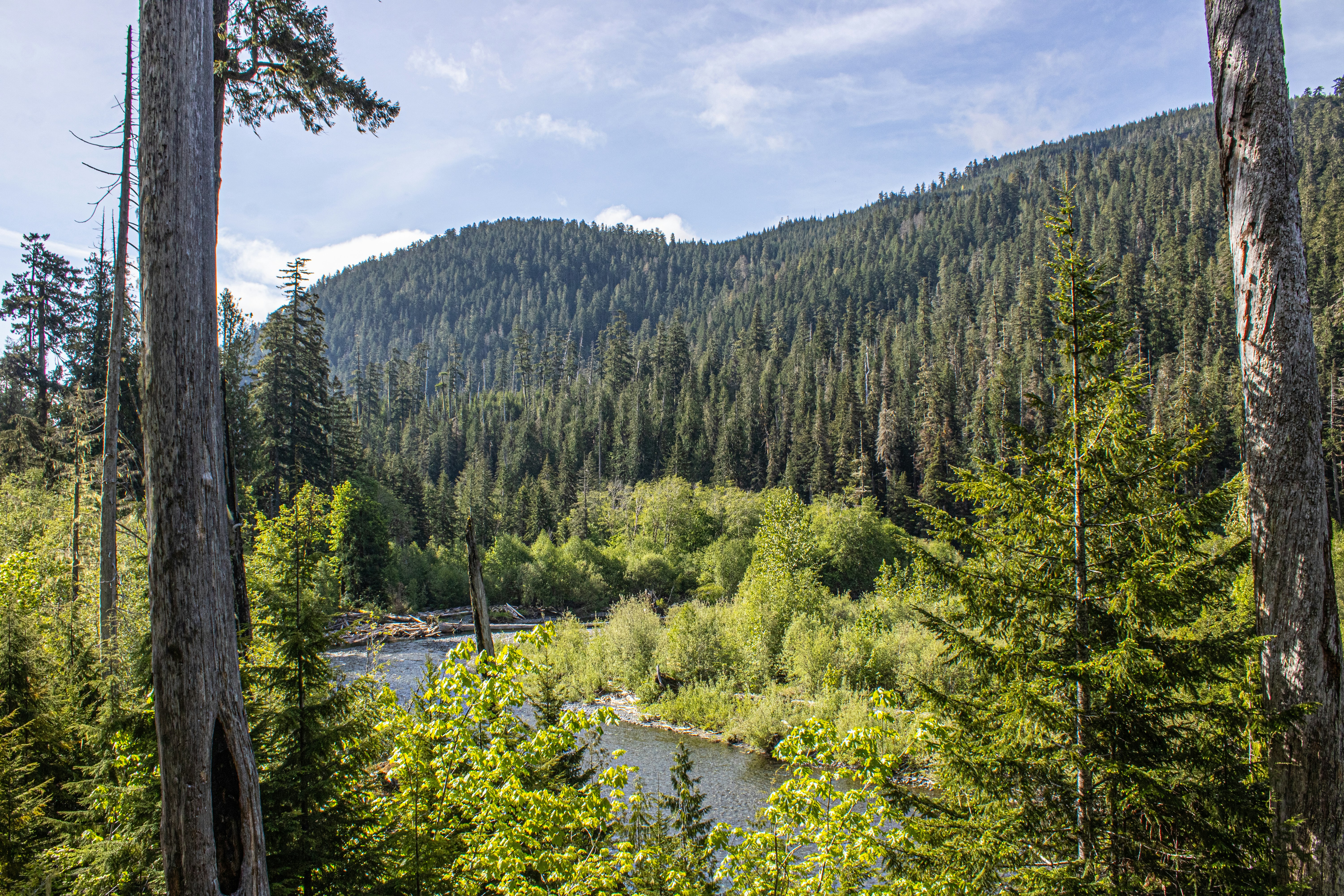 Photo by prphotography262