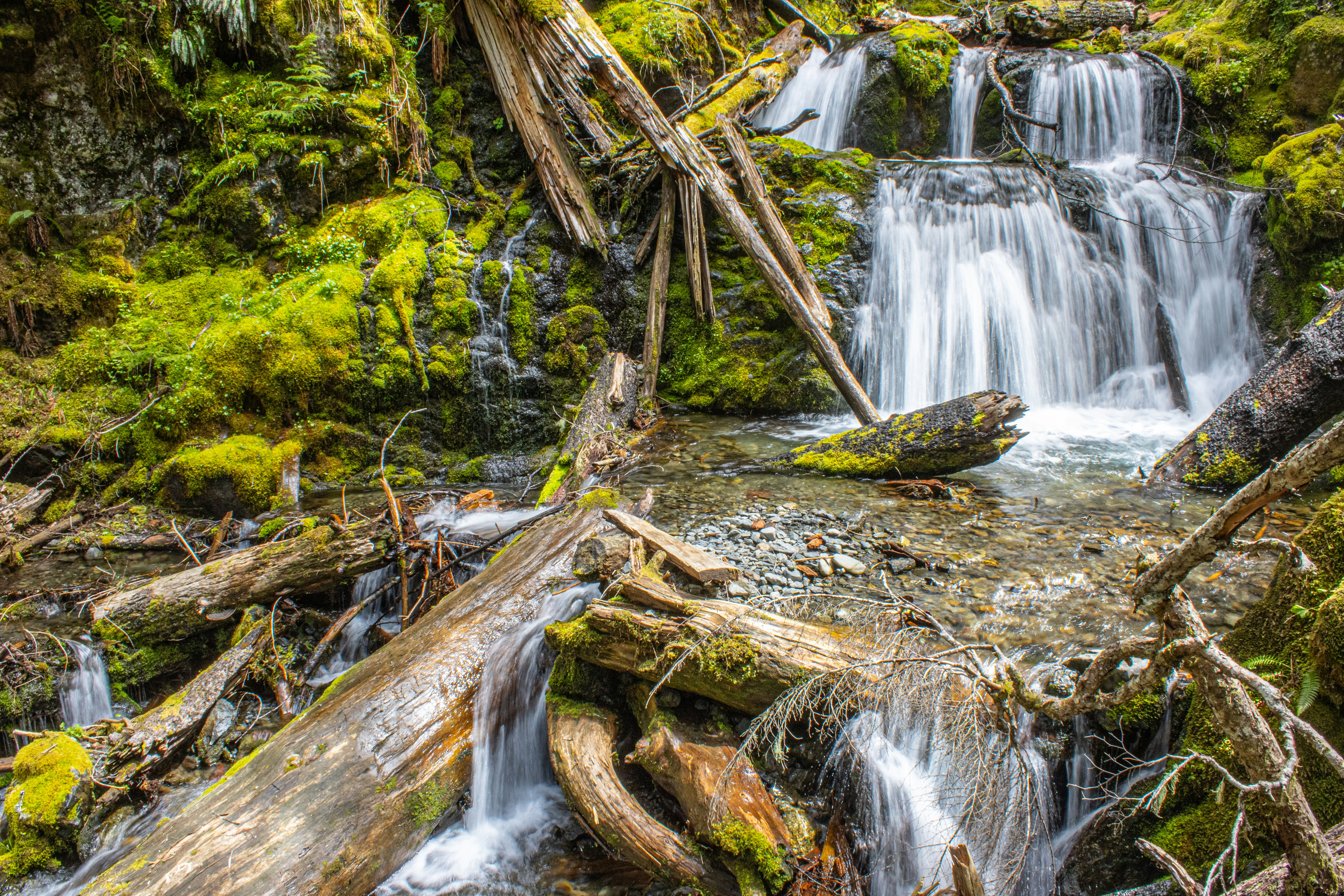 Photo by prphotography262