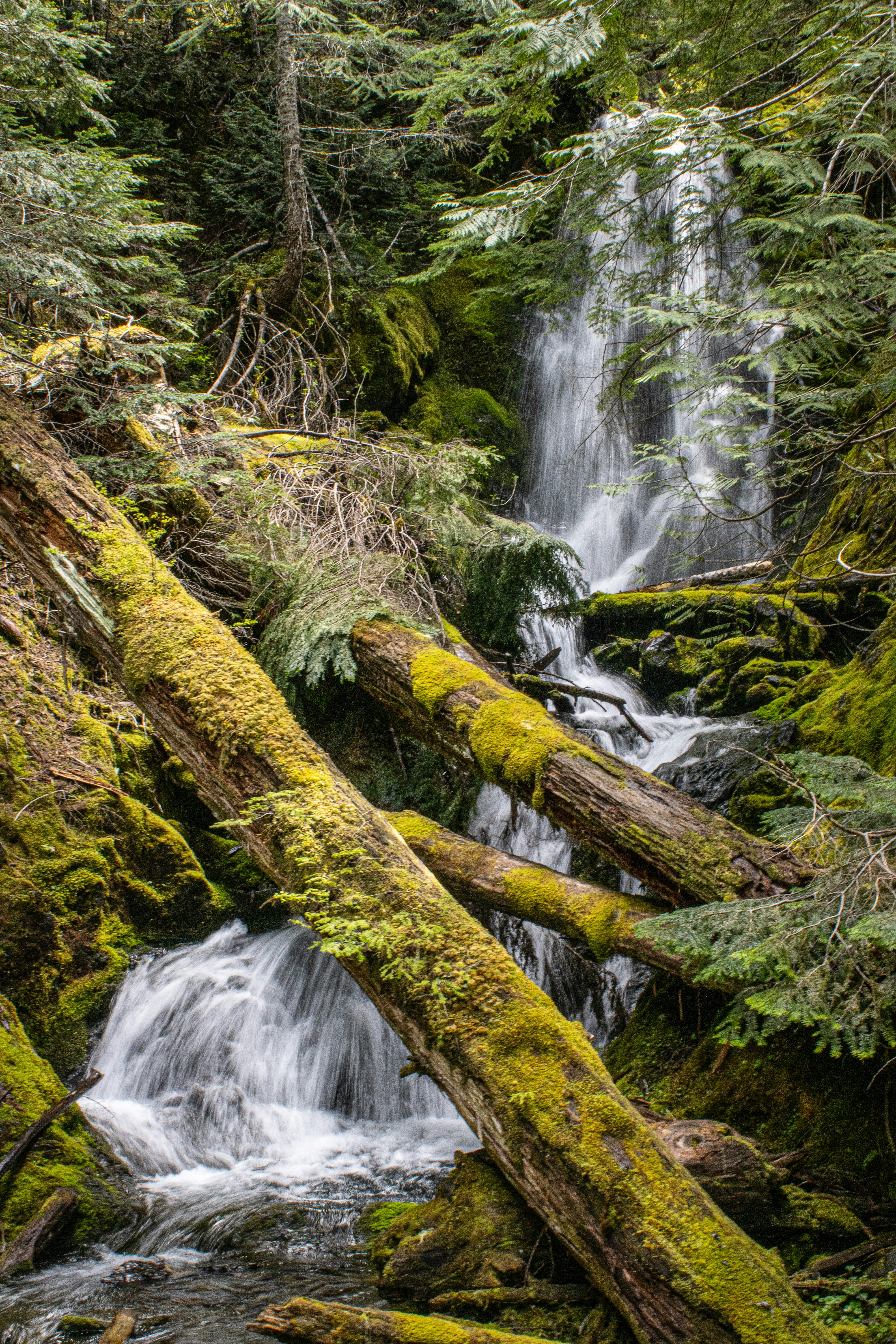 Photo by prphotography262