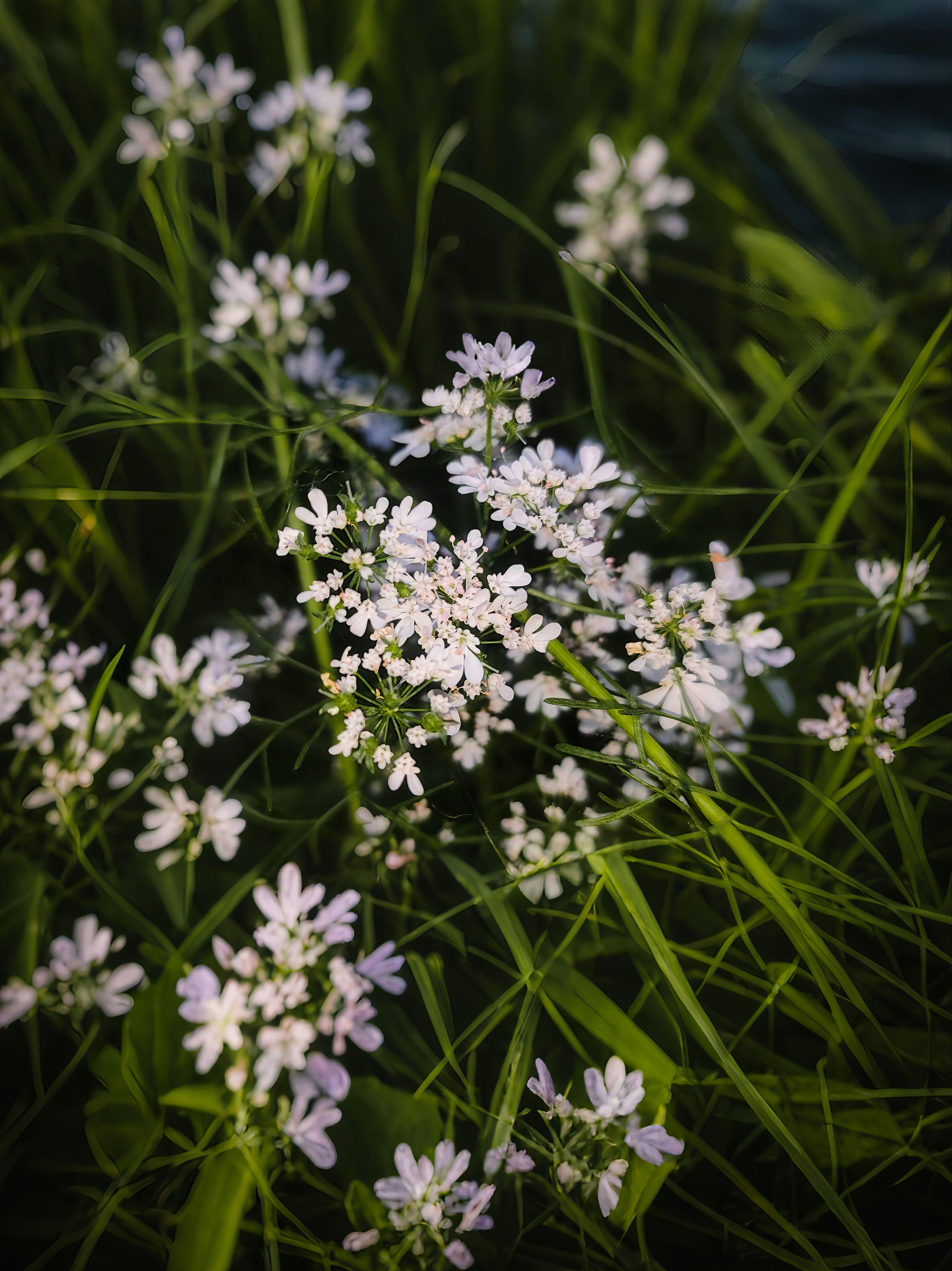 Photo by lenzviewz
