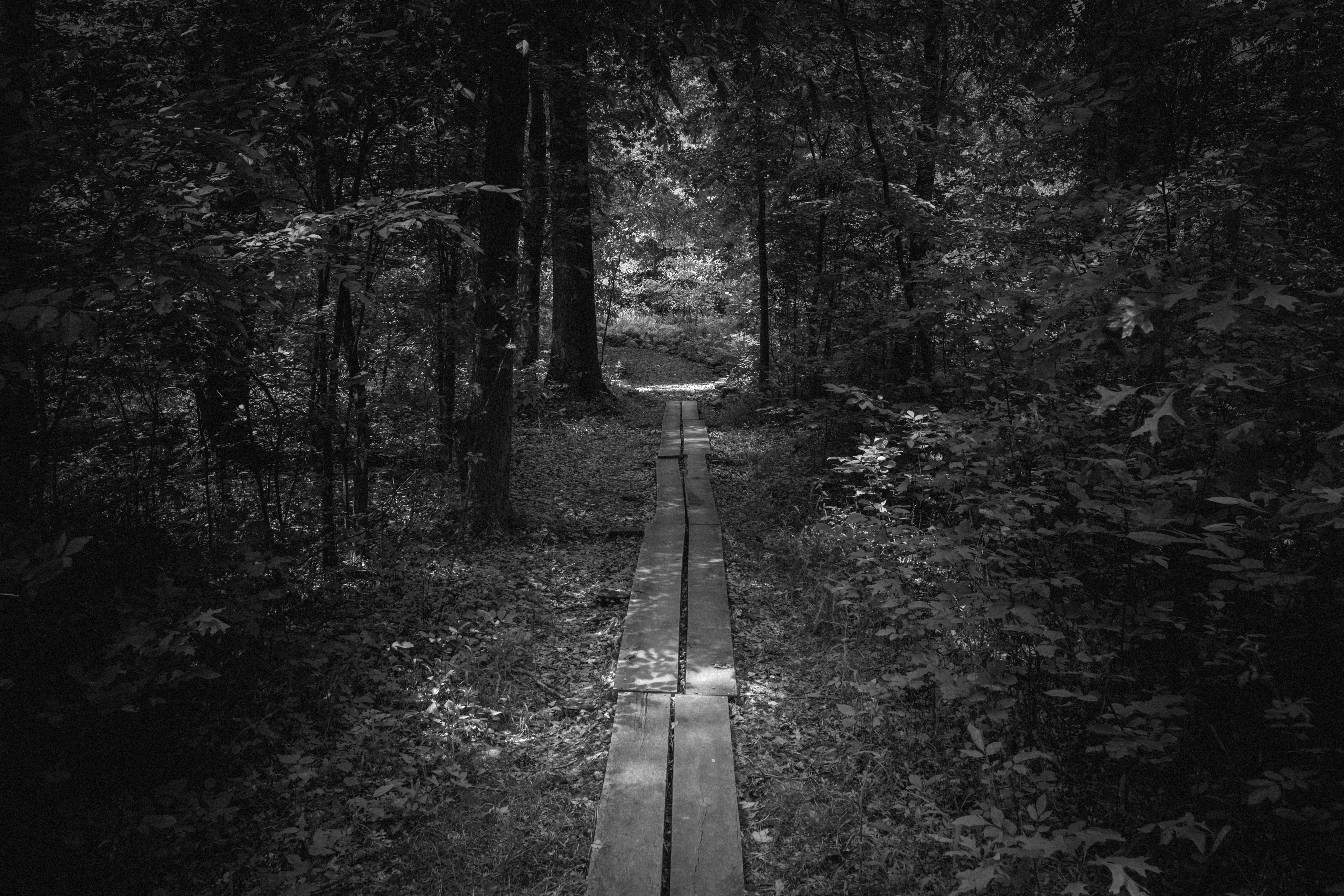 Photo by peterbbryan