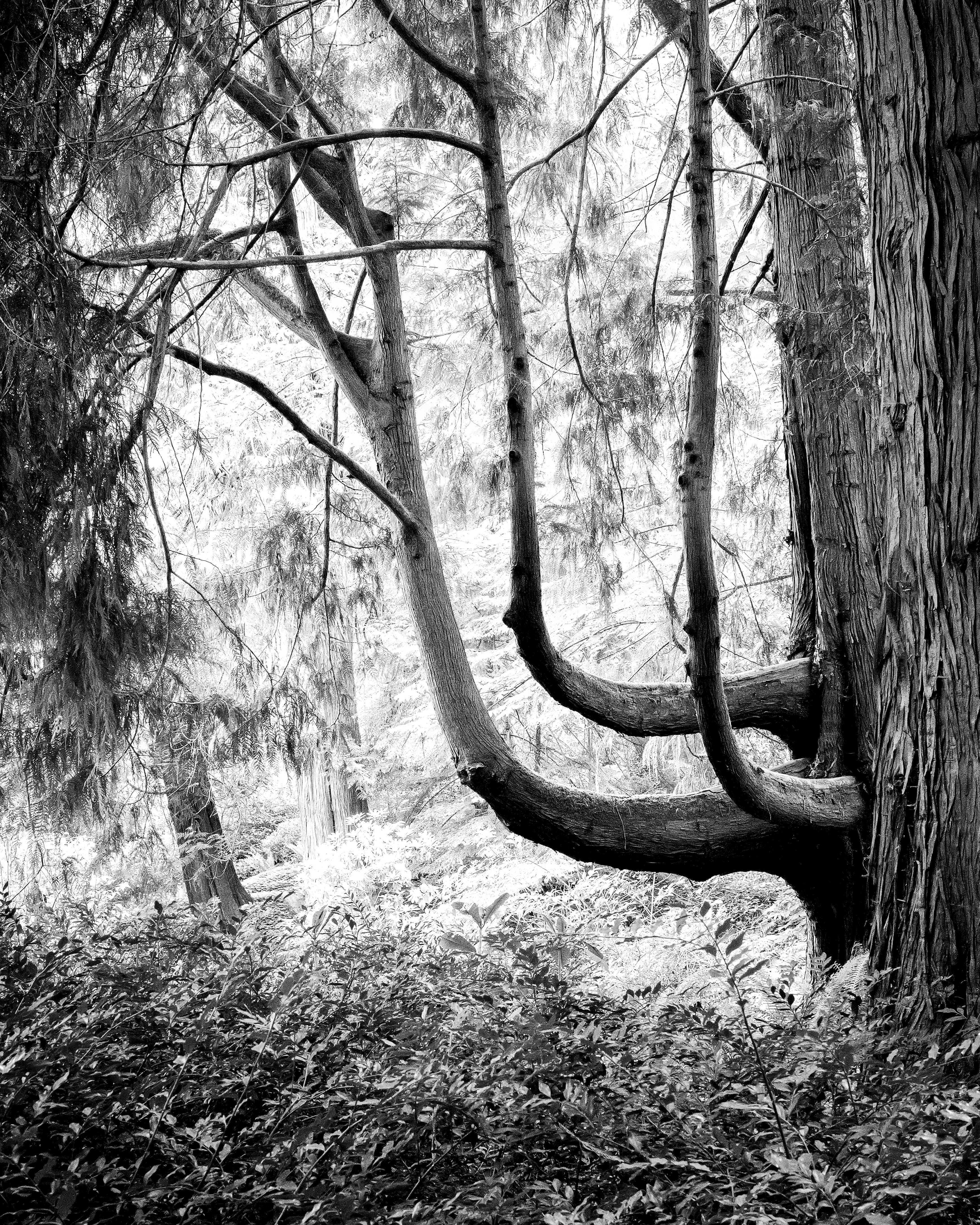 Photo by _zash_capturing