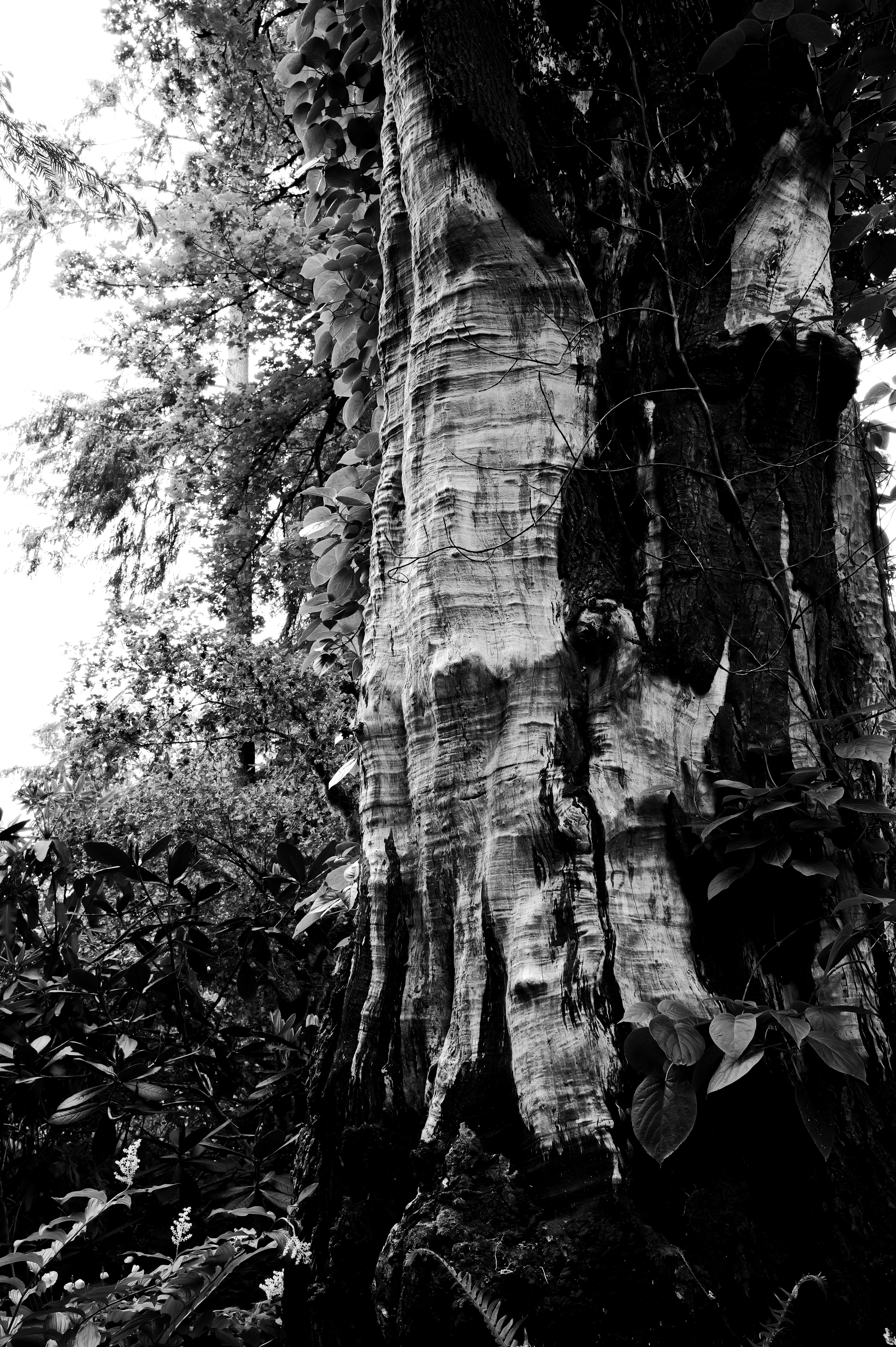 Photo by _zash_capturing