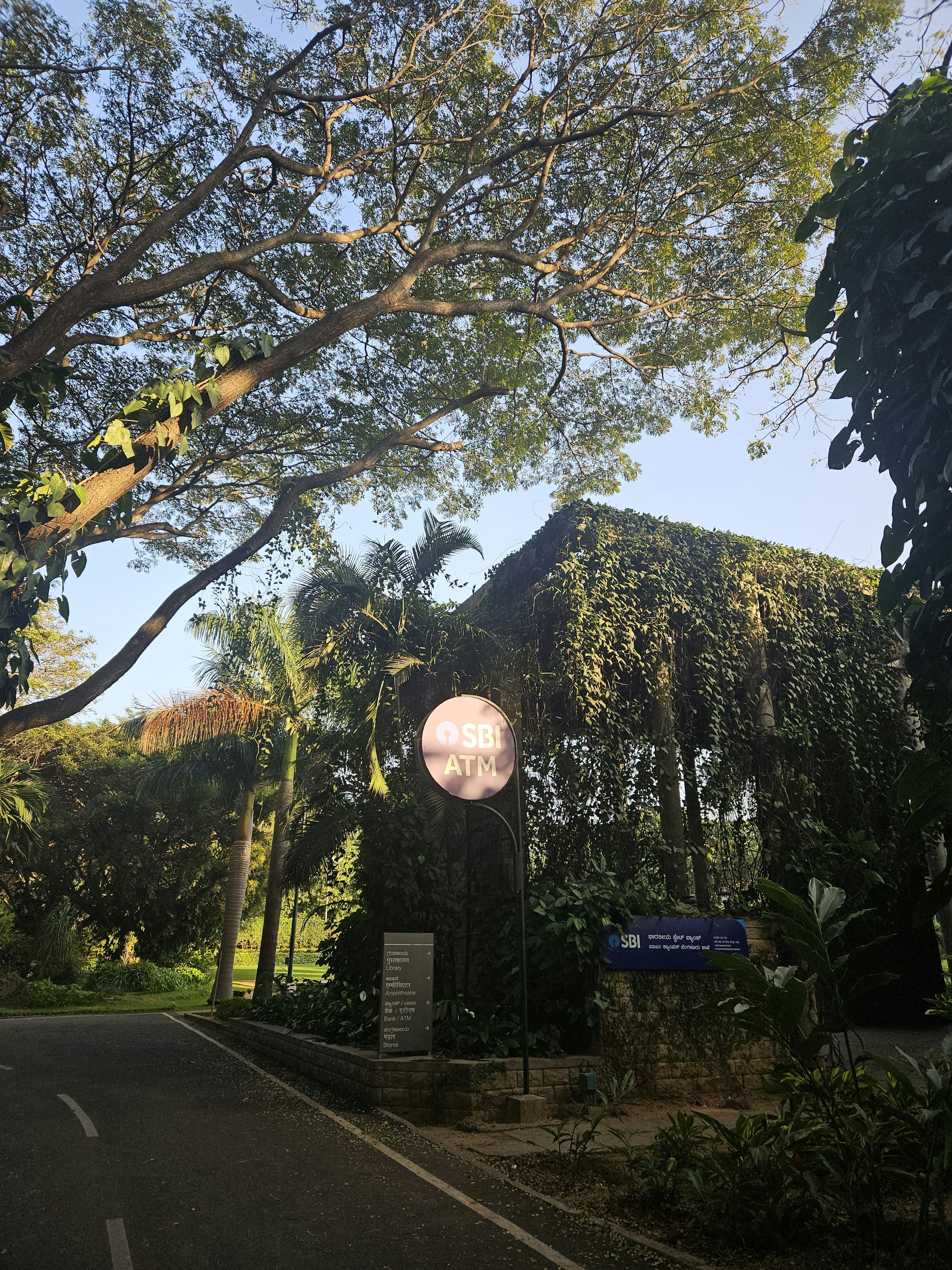 Photo by irisfromthestar