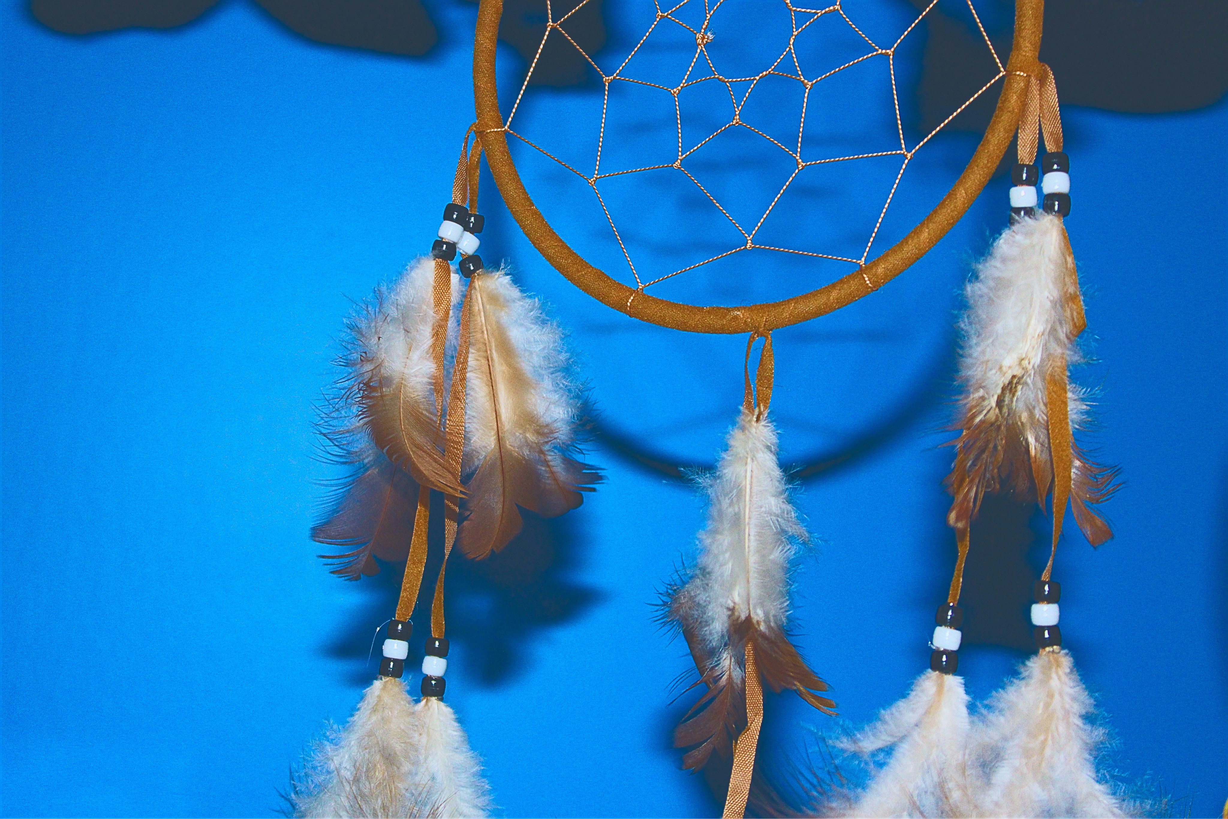 Photo by vivalavida_009