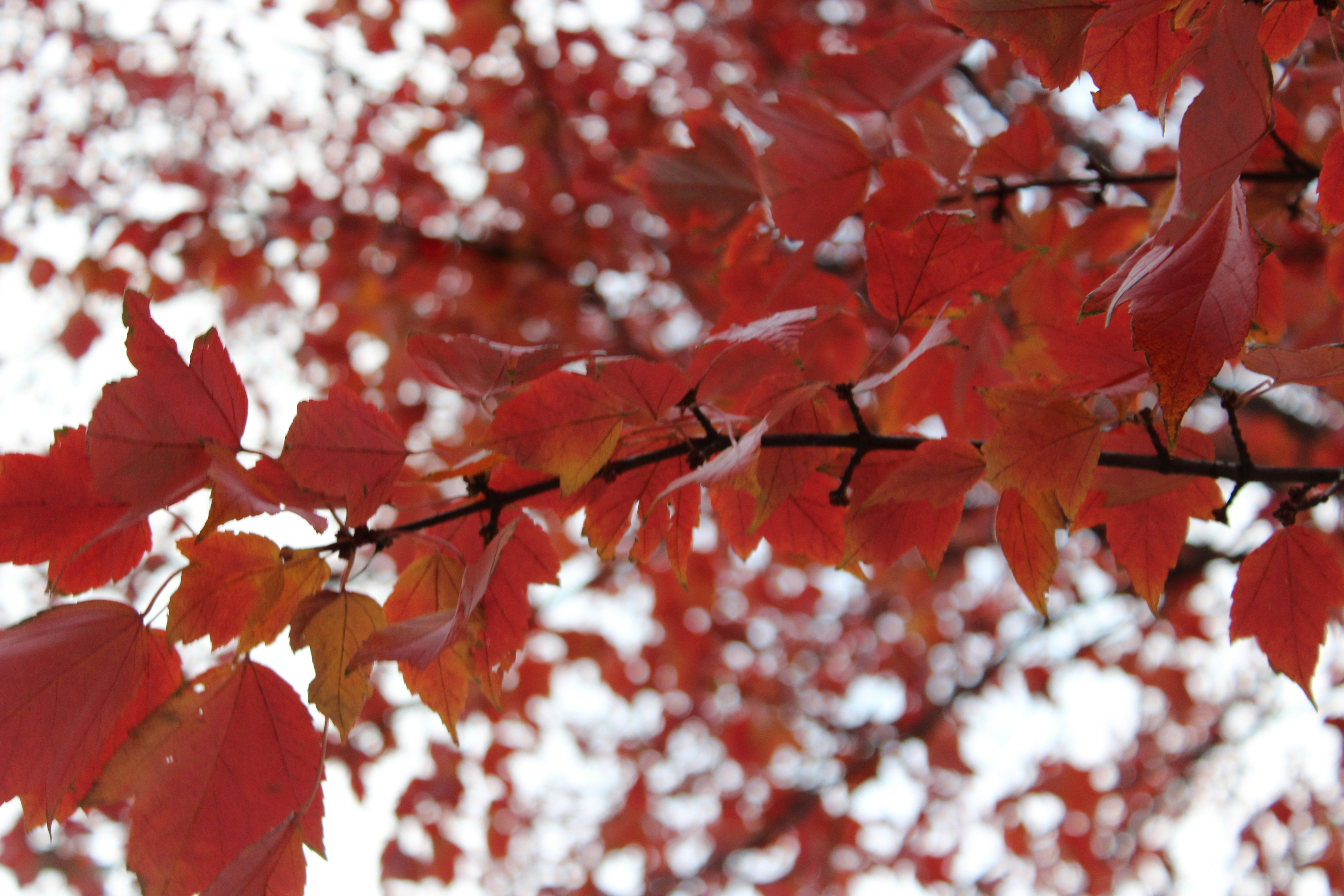 Photo by vivalavida_009