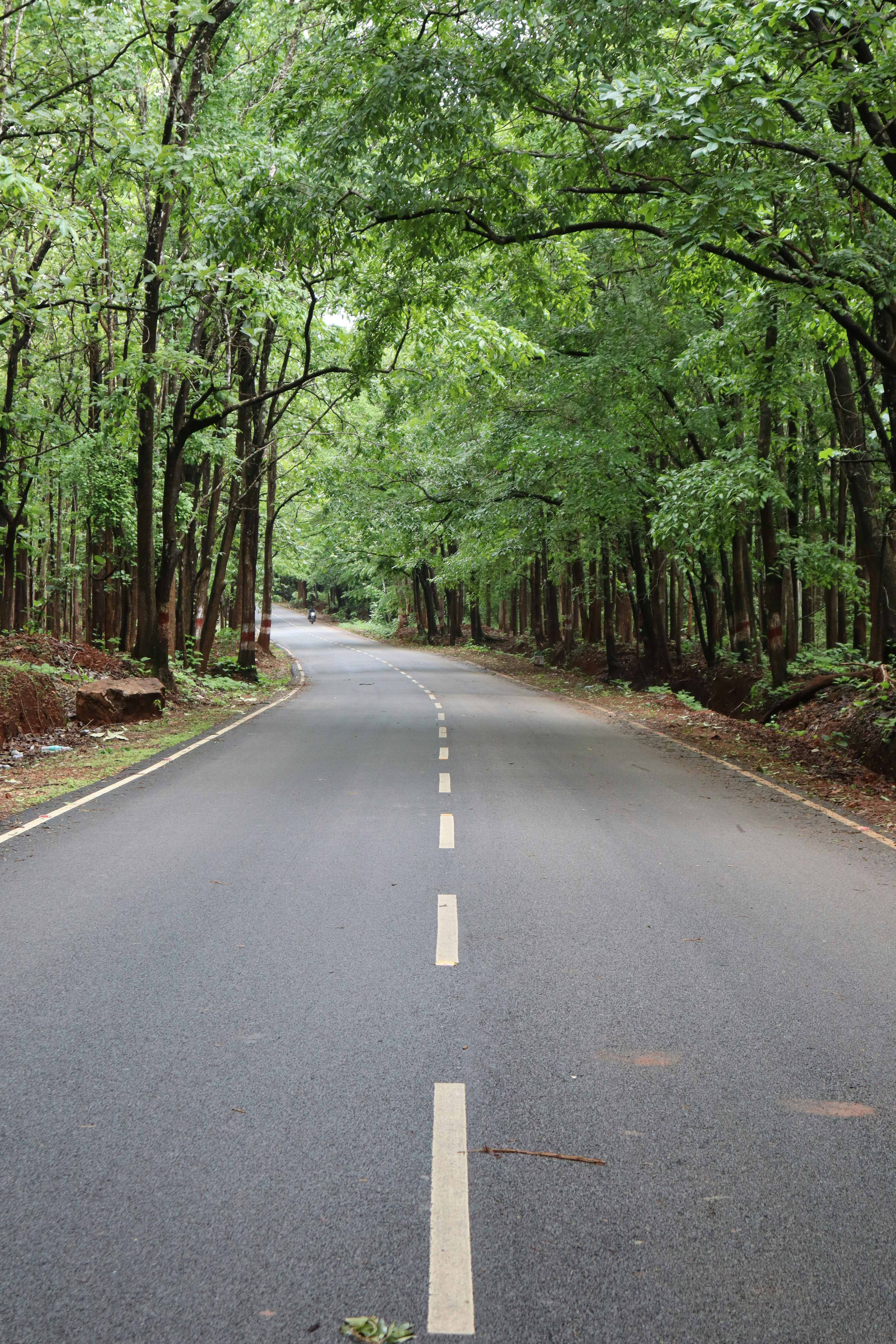 Photo by laavanya_bhattt