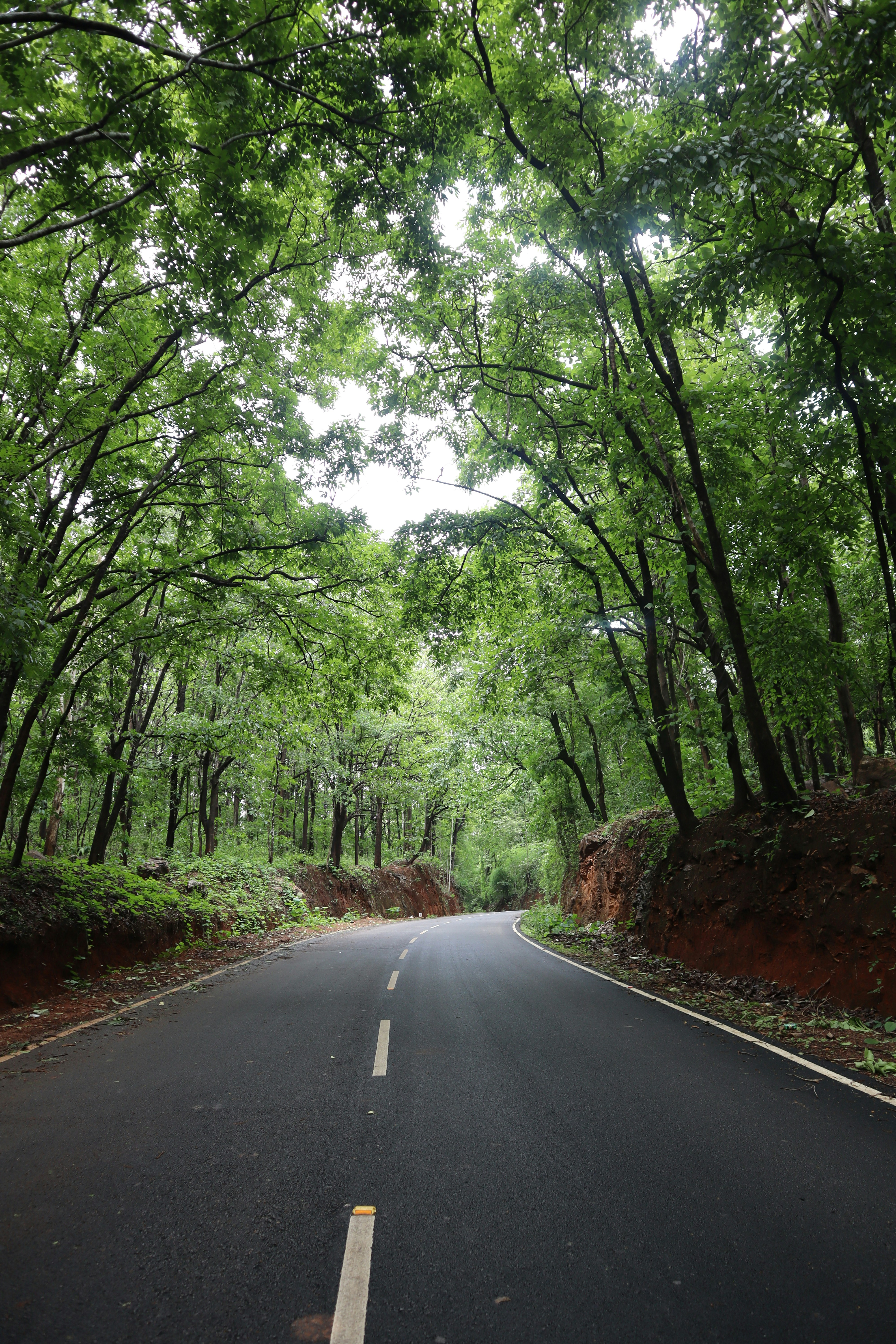 Photo by laavanya_bhattt