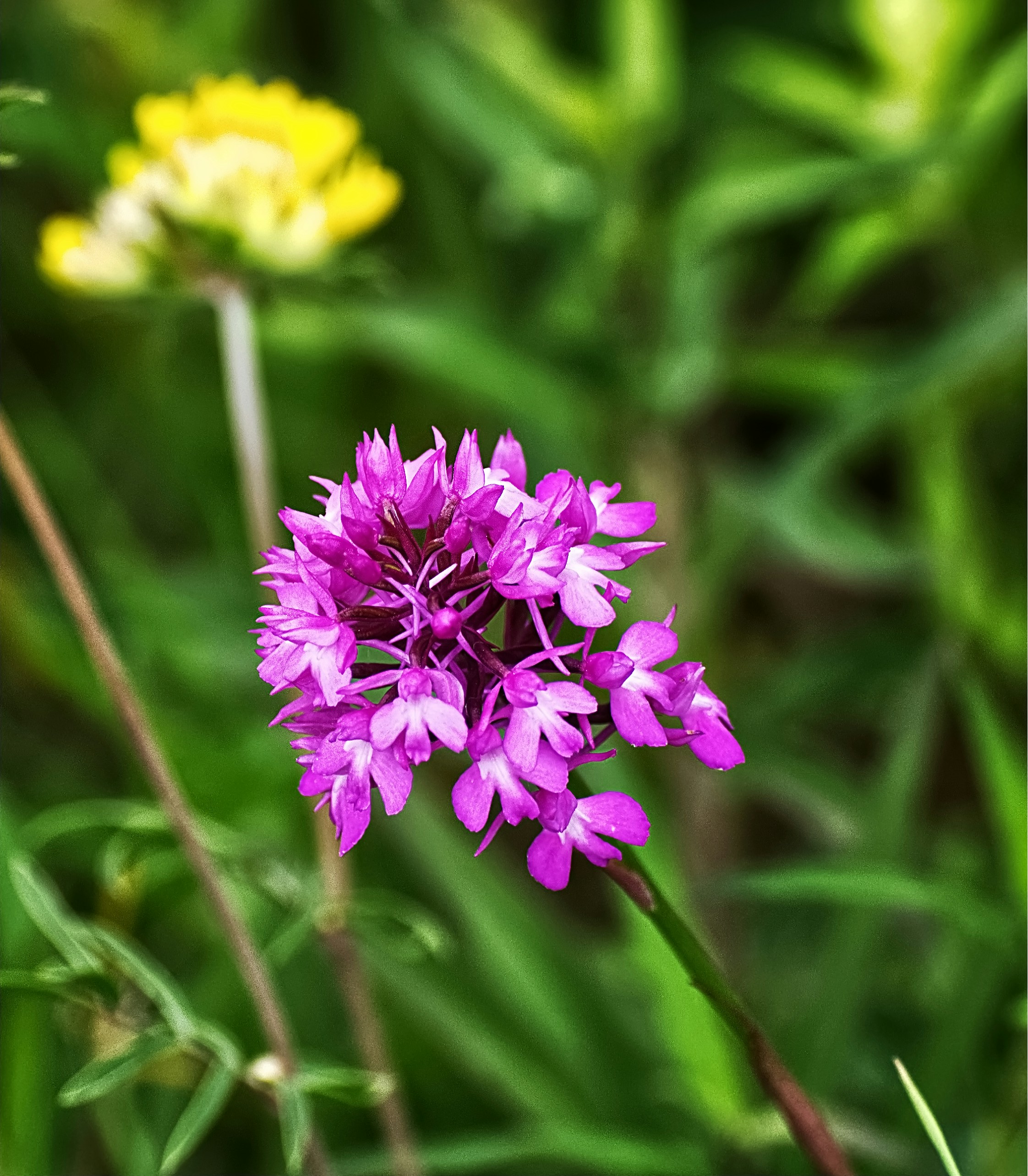 Photo by johndapps