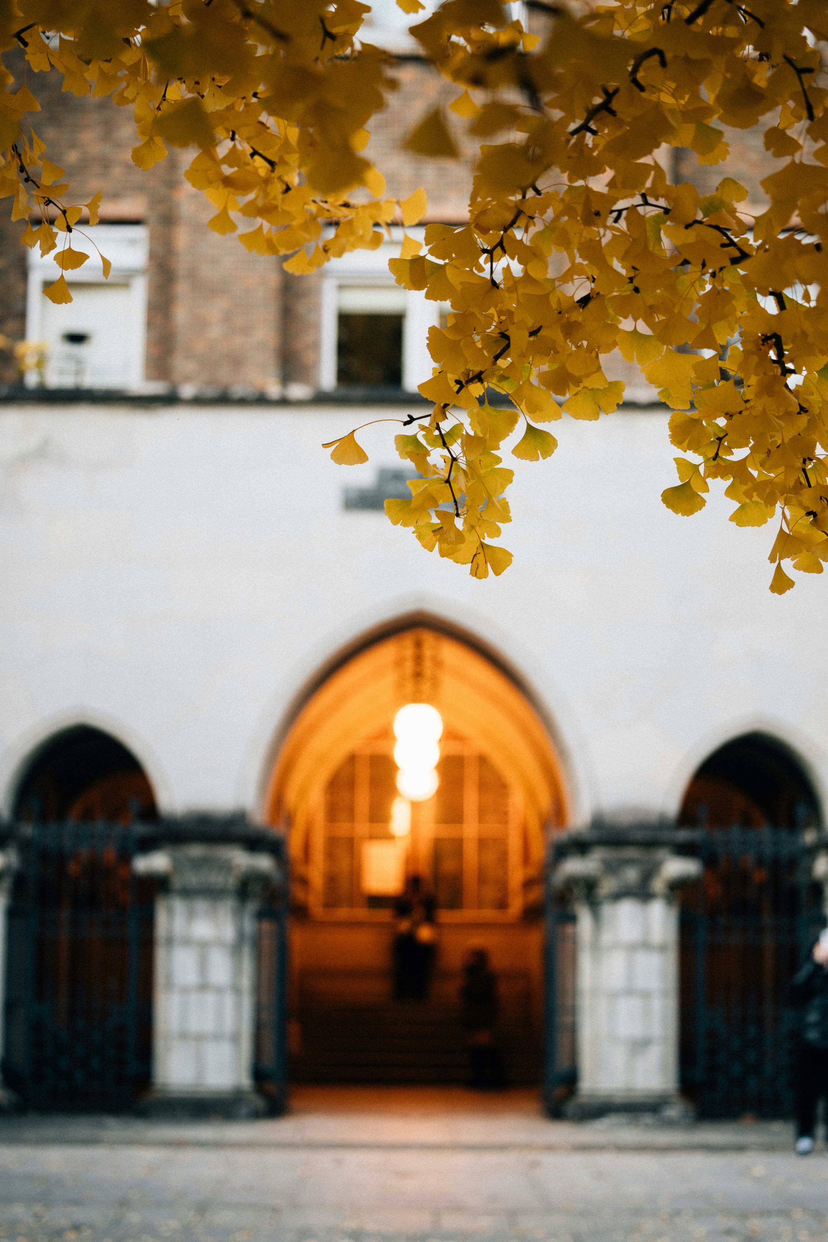 Photo by tsuyoshikozu