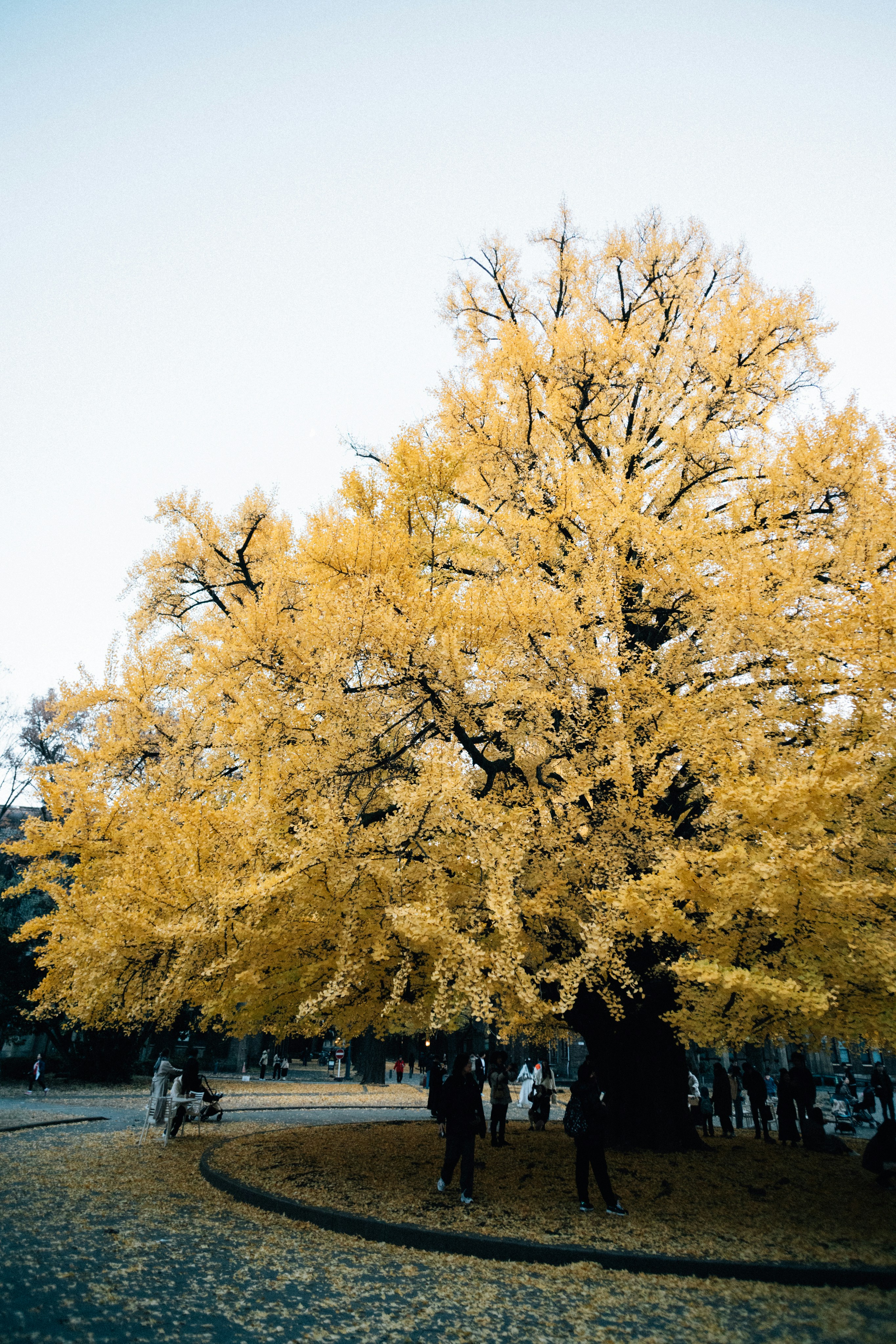 Photo by tsuyoshikozu