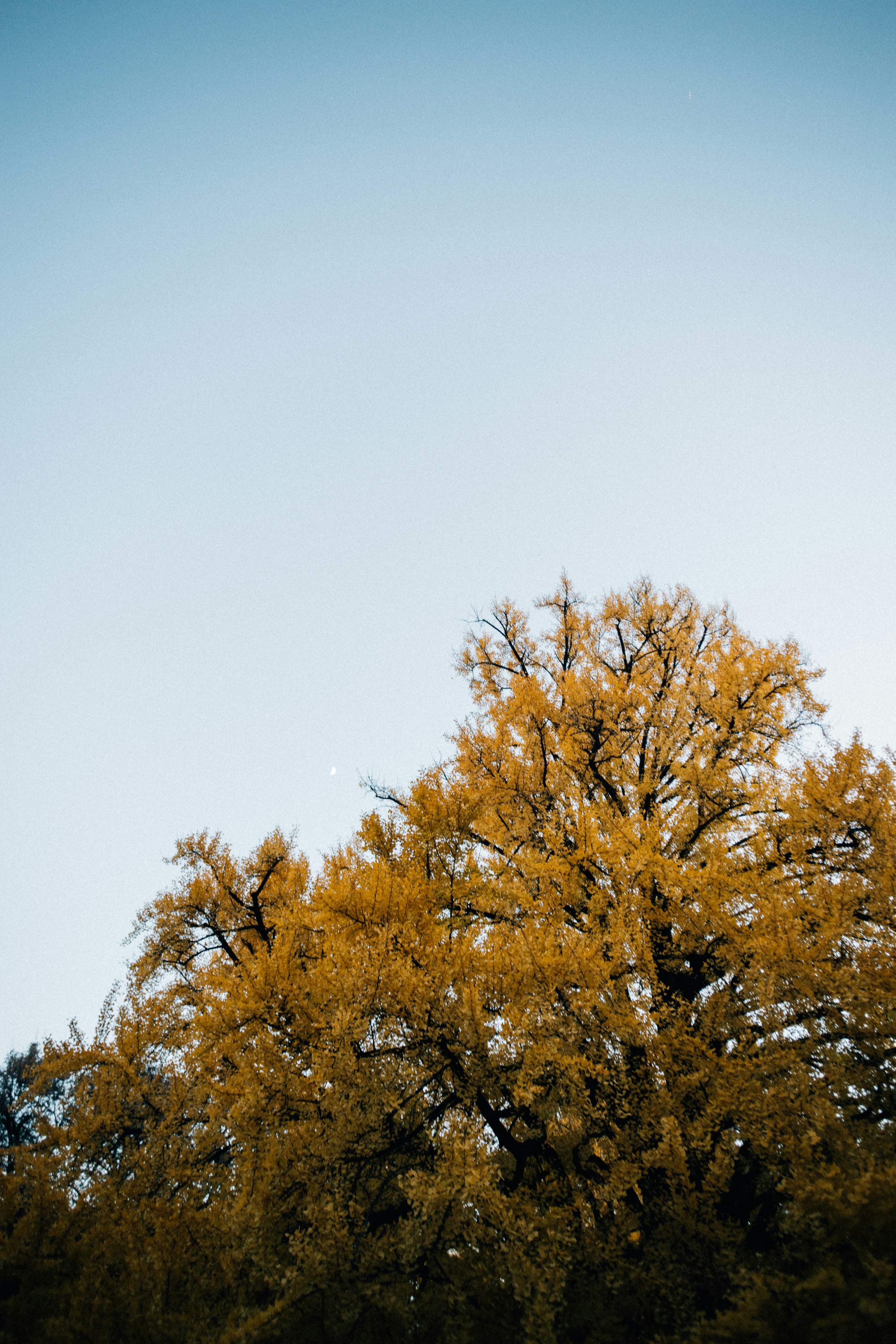 Photo by tsuyoshikozu