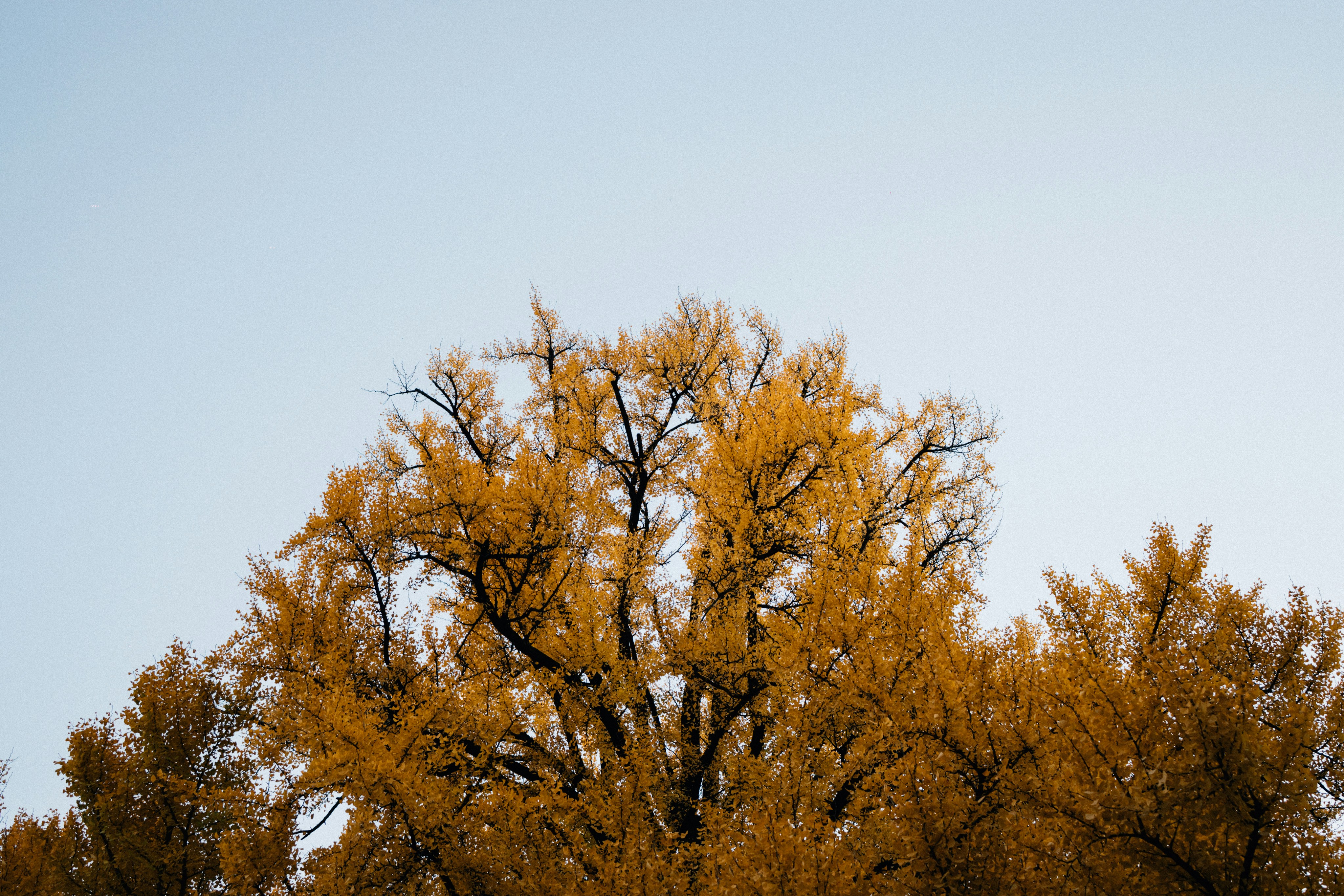 Photo by tsuyoshikozu