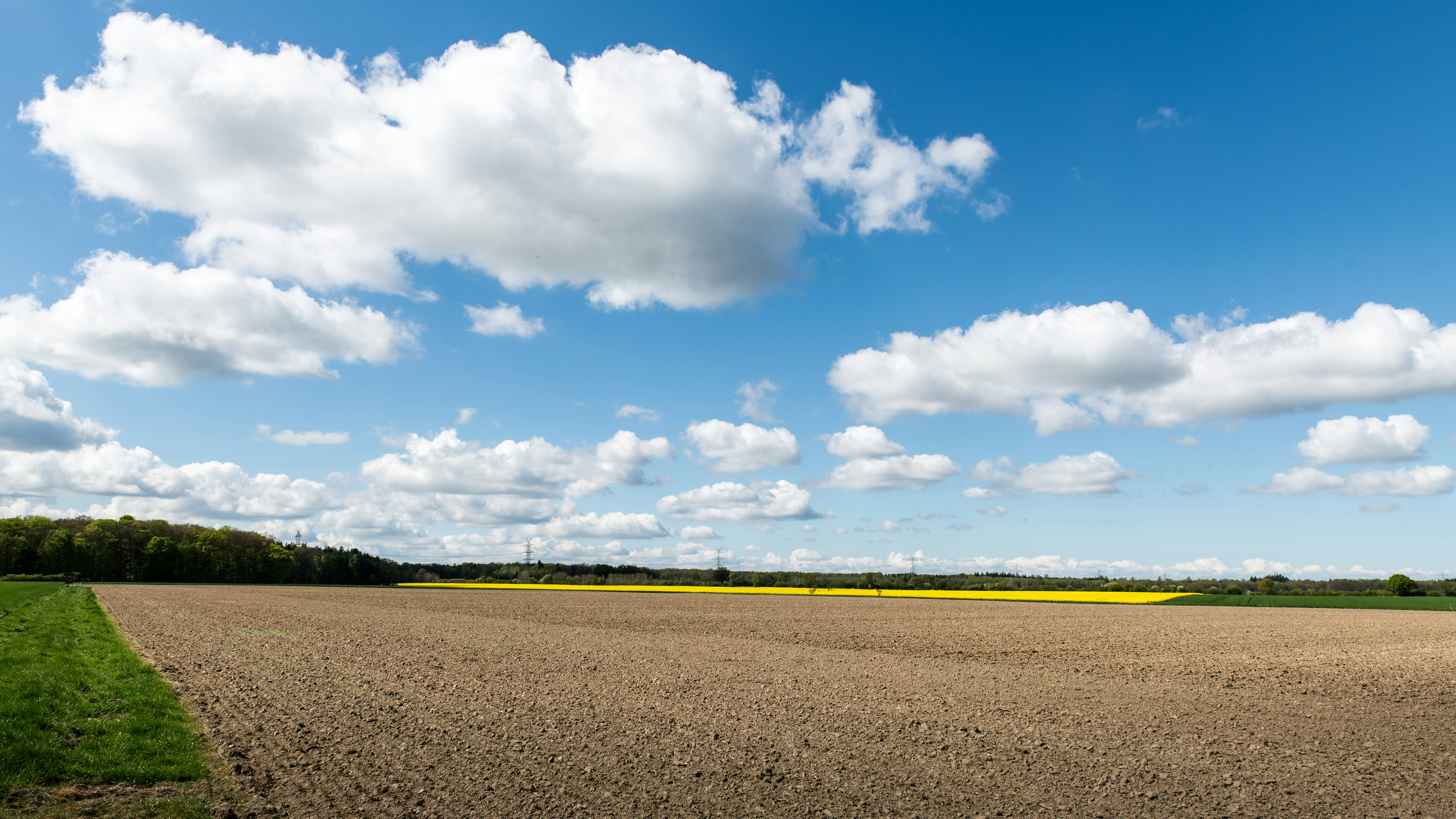 Photo by hamburgmeinefreundin