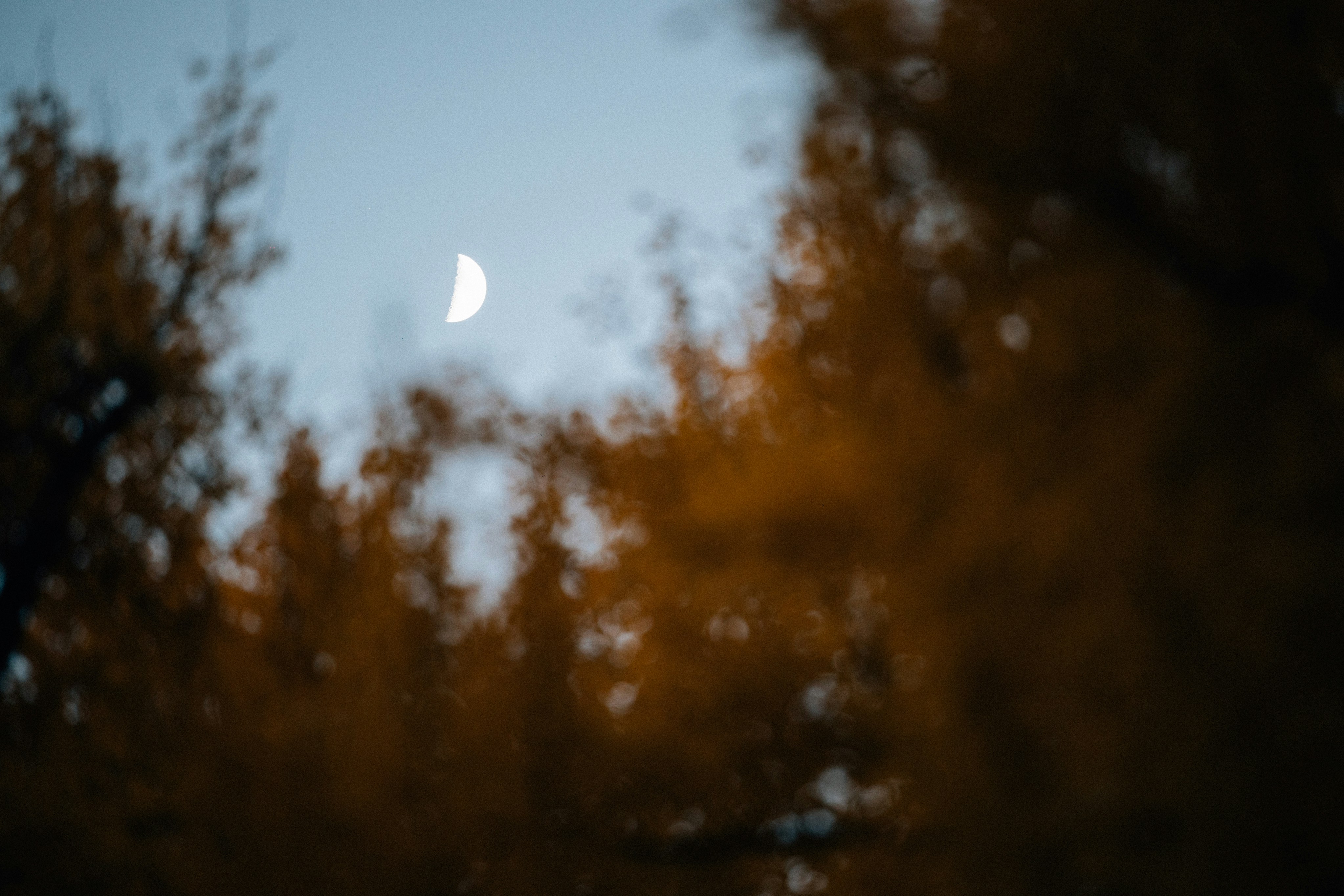 Photo by tsuyoshikozu