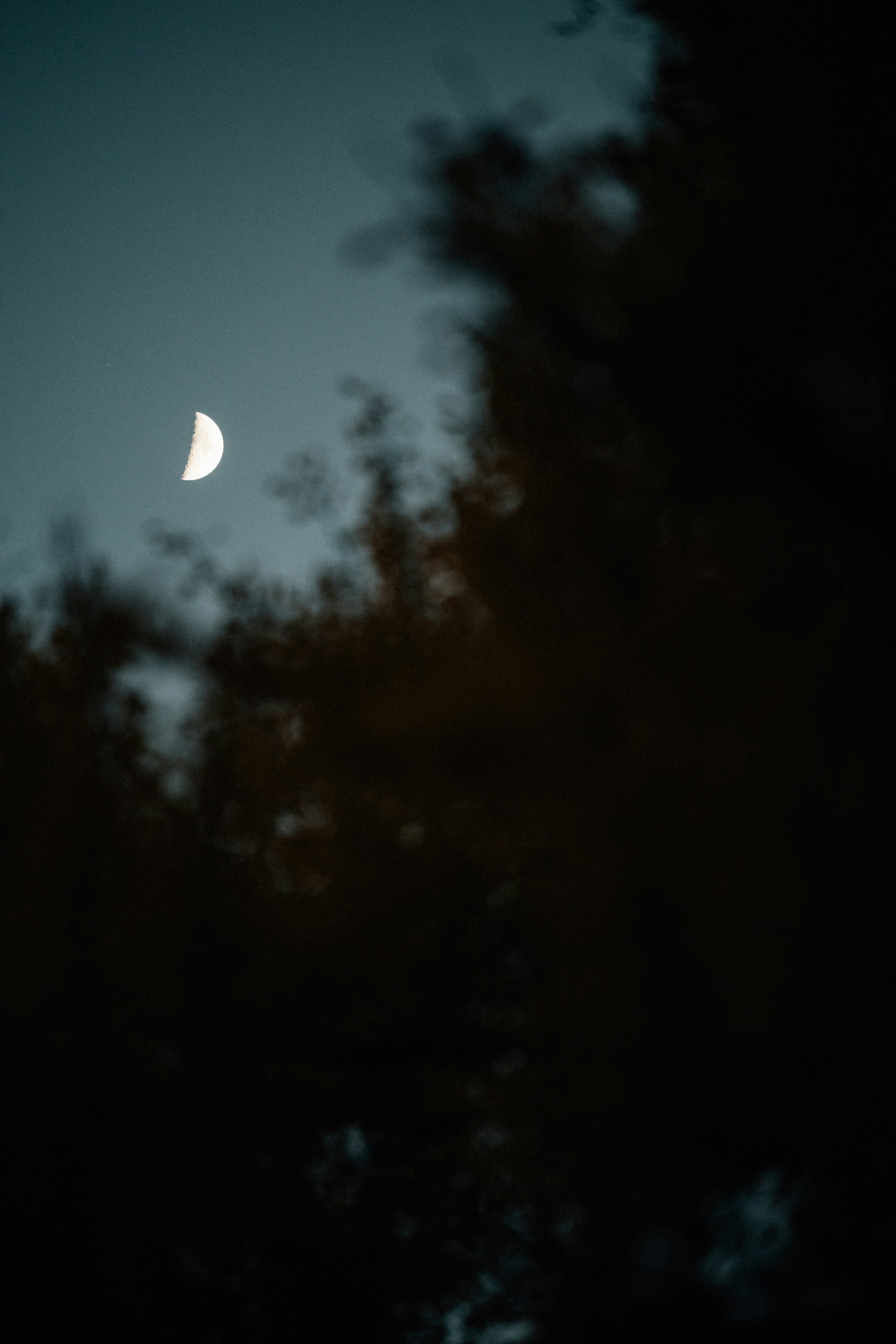 Photo by tsuyoshikozu