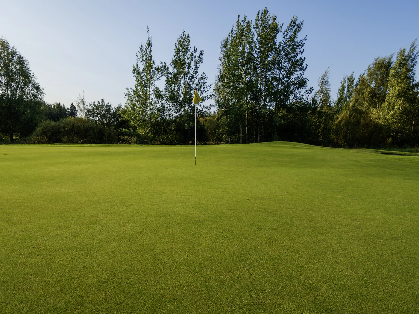 A golf green with a flag, framed by trees under a blue sky