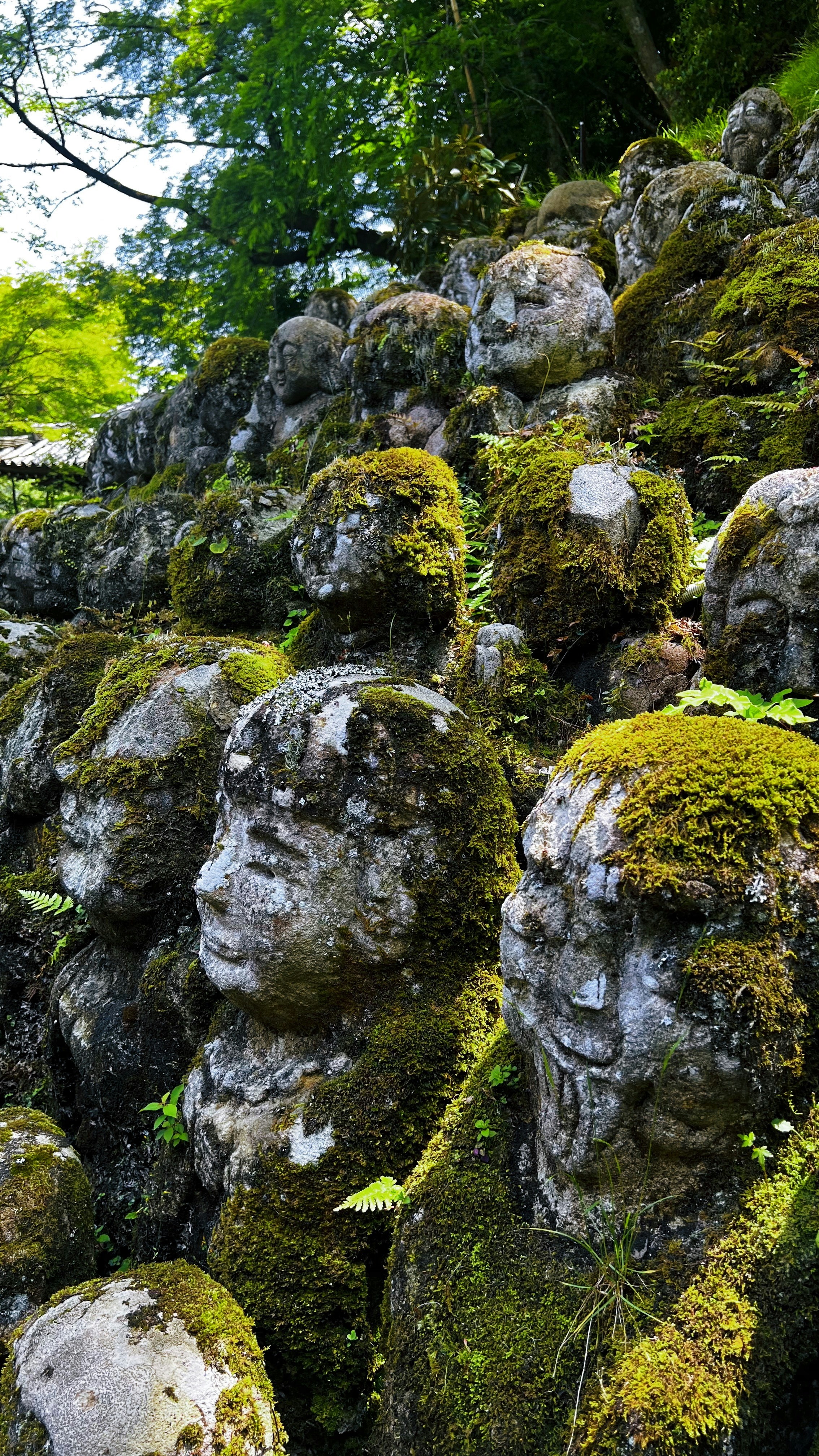 Photo by orkhanfarmanli