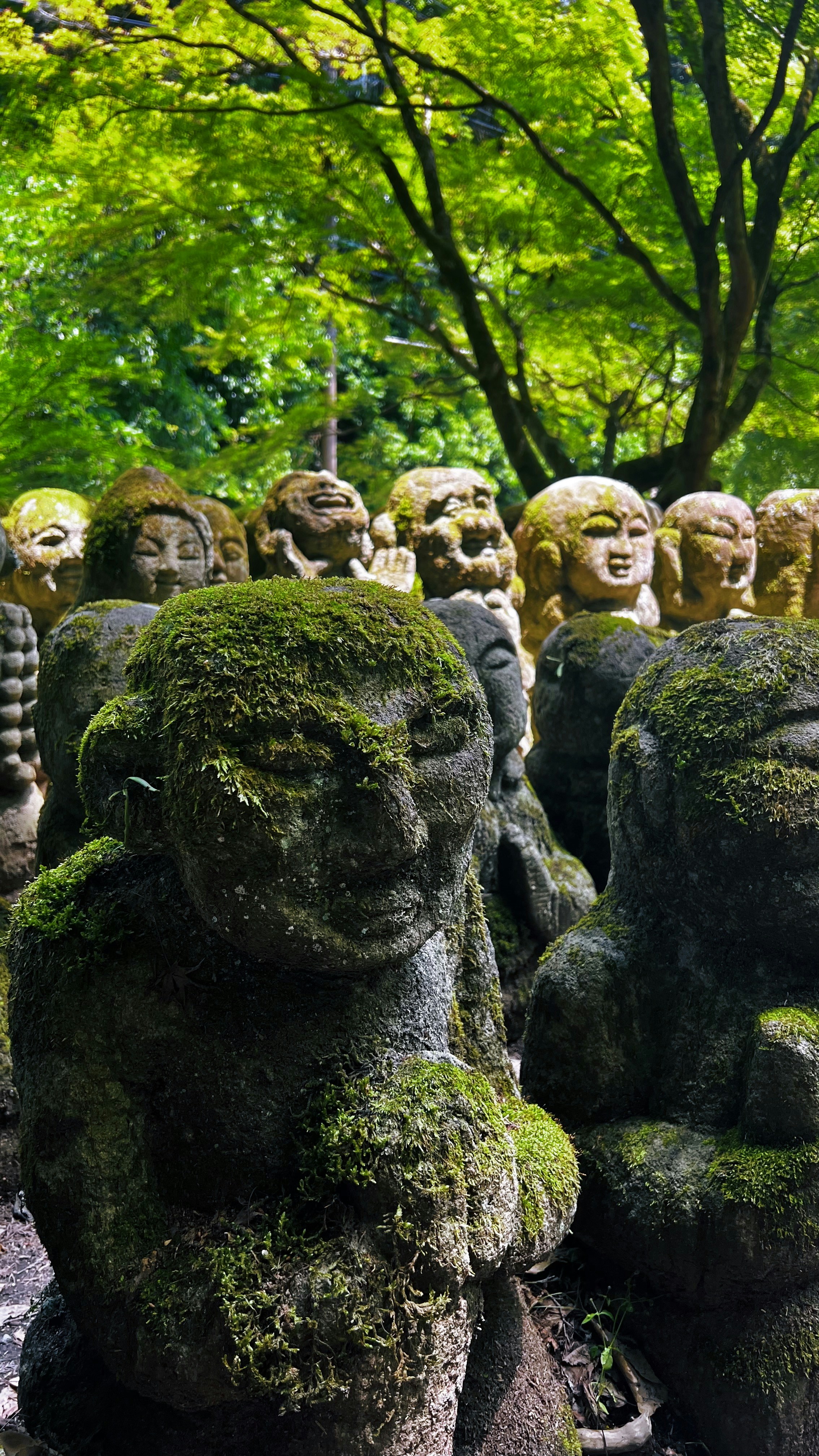 Photo by orkhanfarmanli