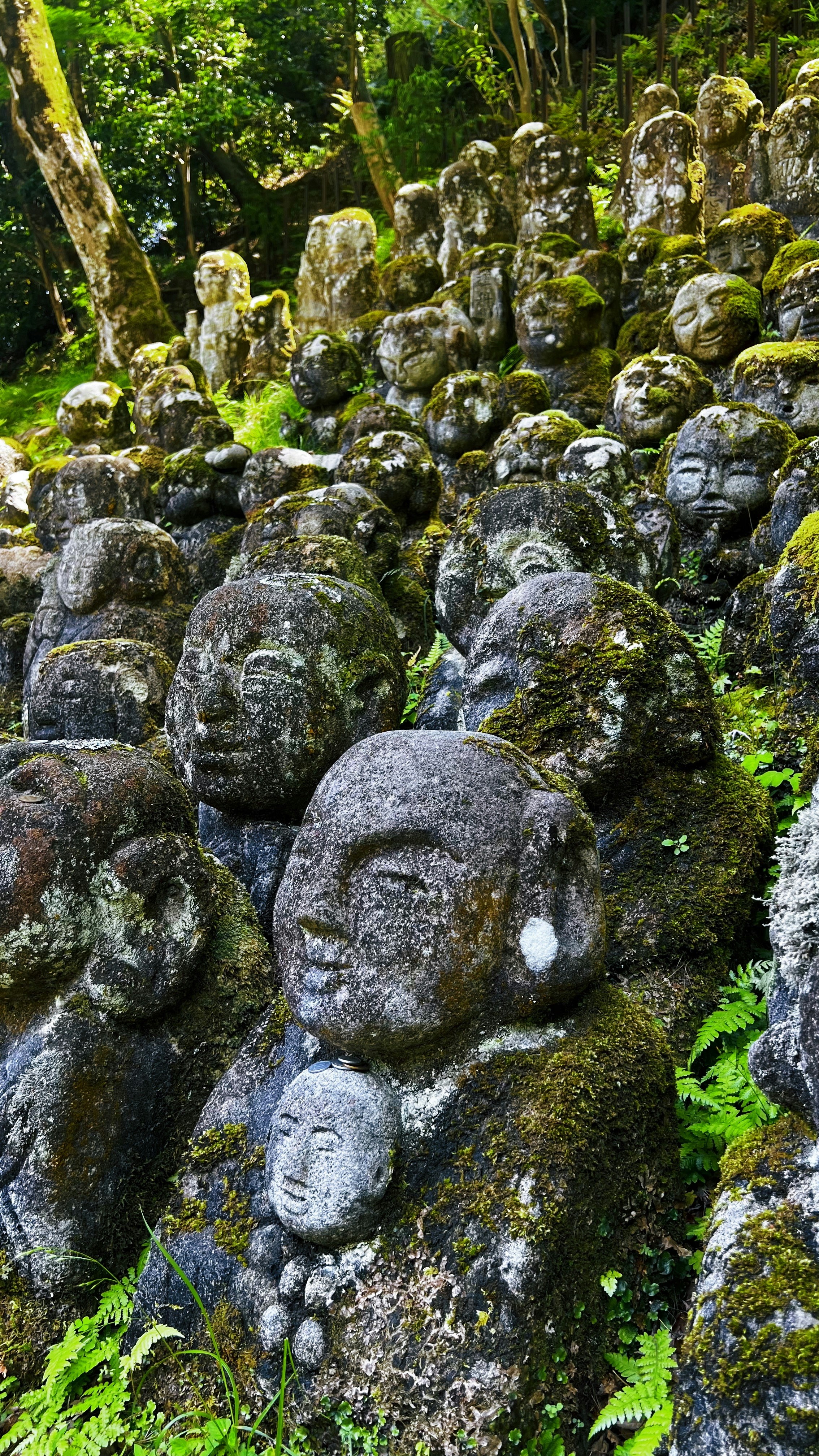 Photo by orkhanfarmanli