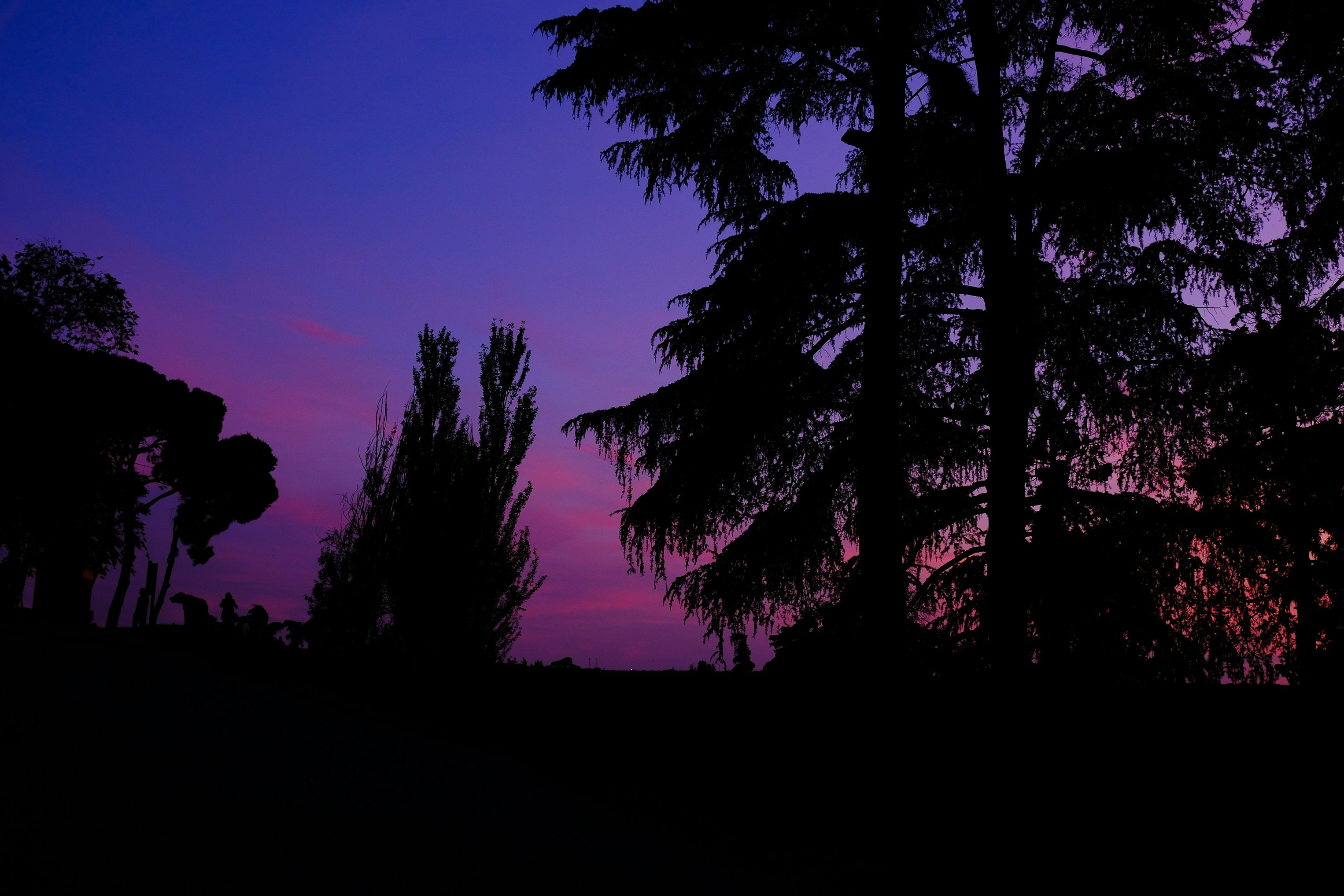 Photo by raulmermans