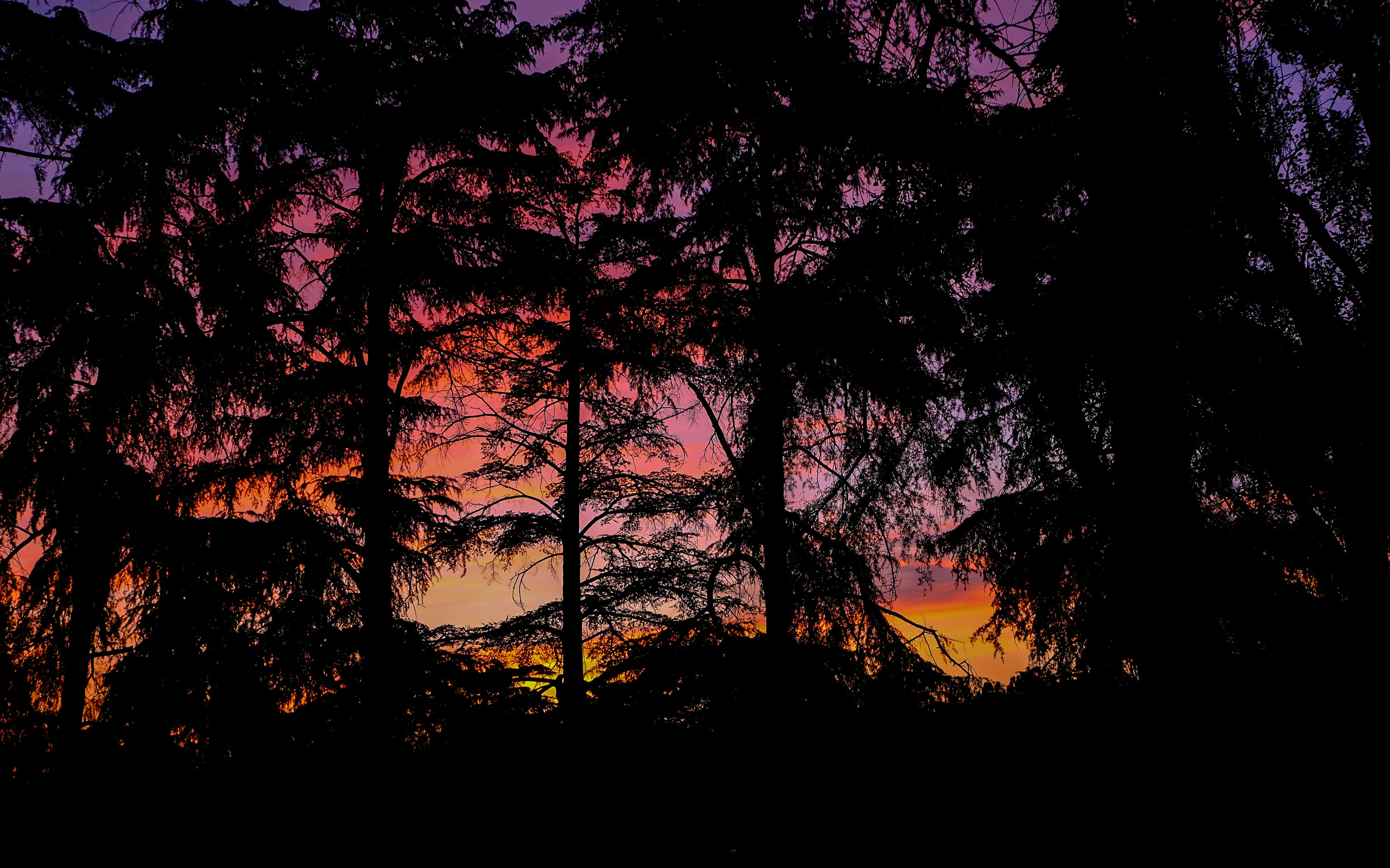 Photo by raulmermans