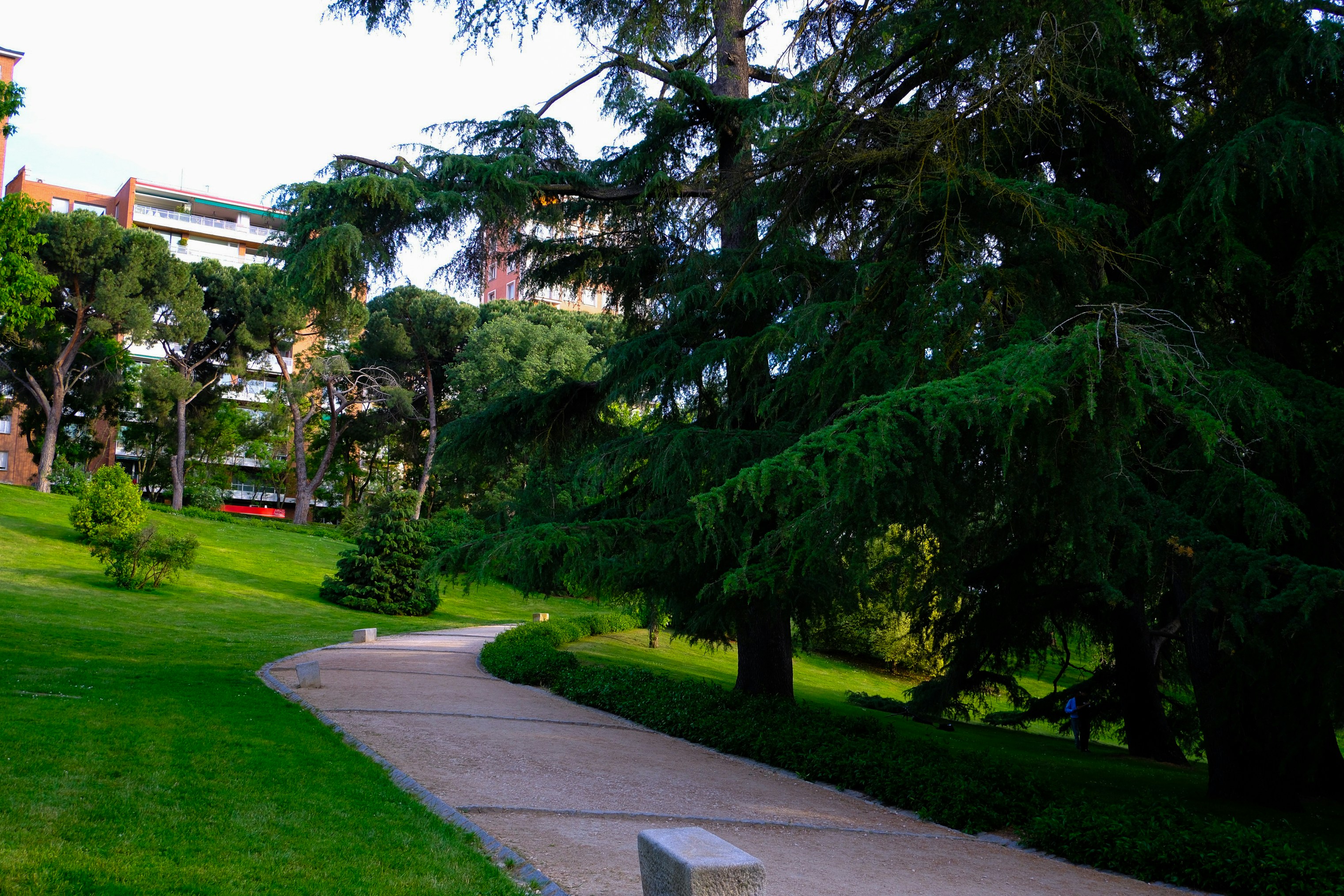 Photo by raulmermans