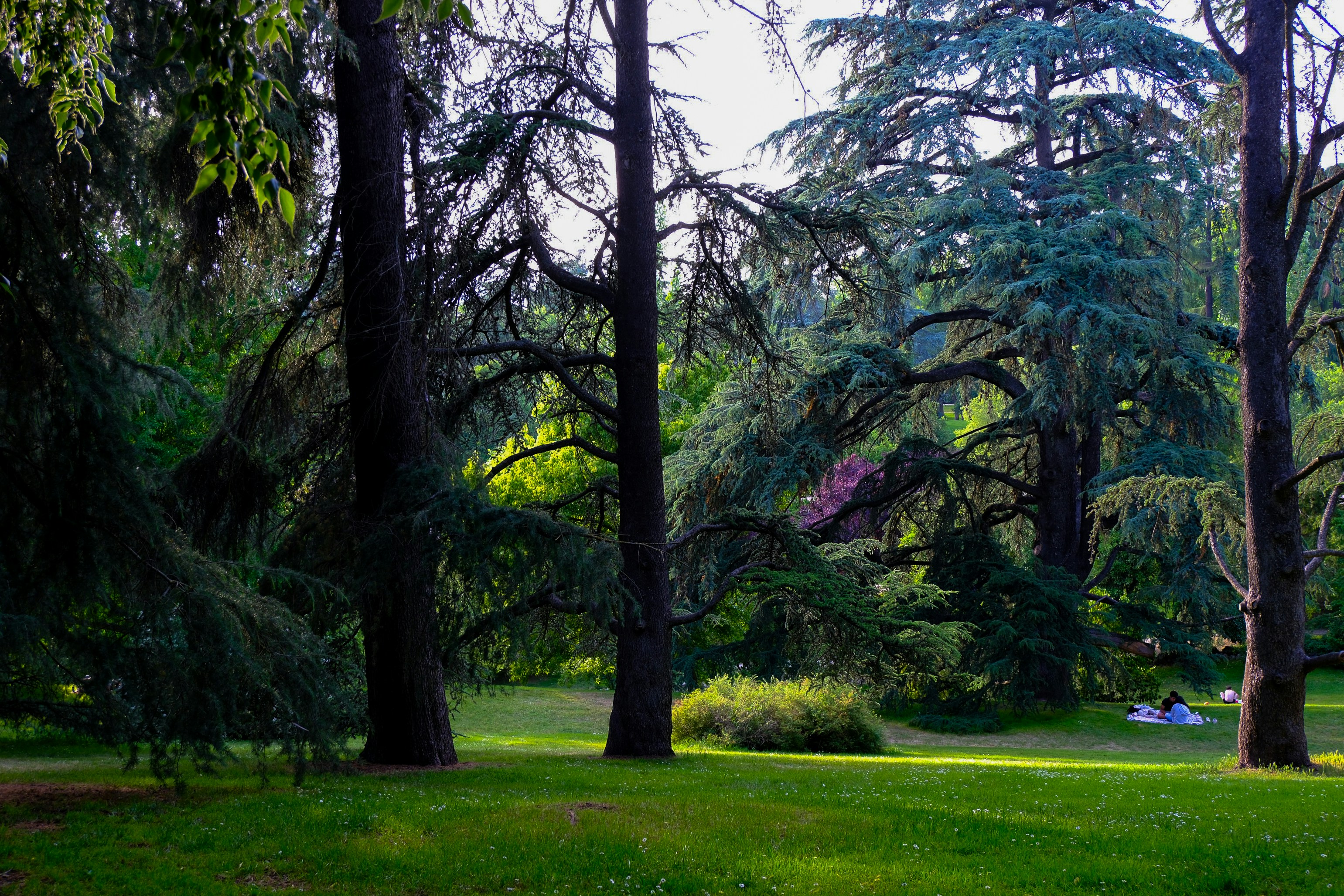 Photo by raulmermans